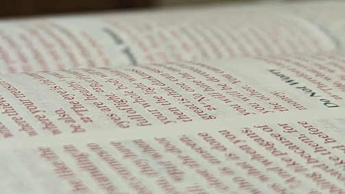 Close-up of the vintage reddybooki.com logo with pixelated edges.