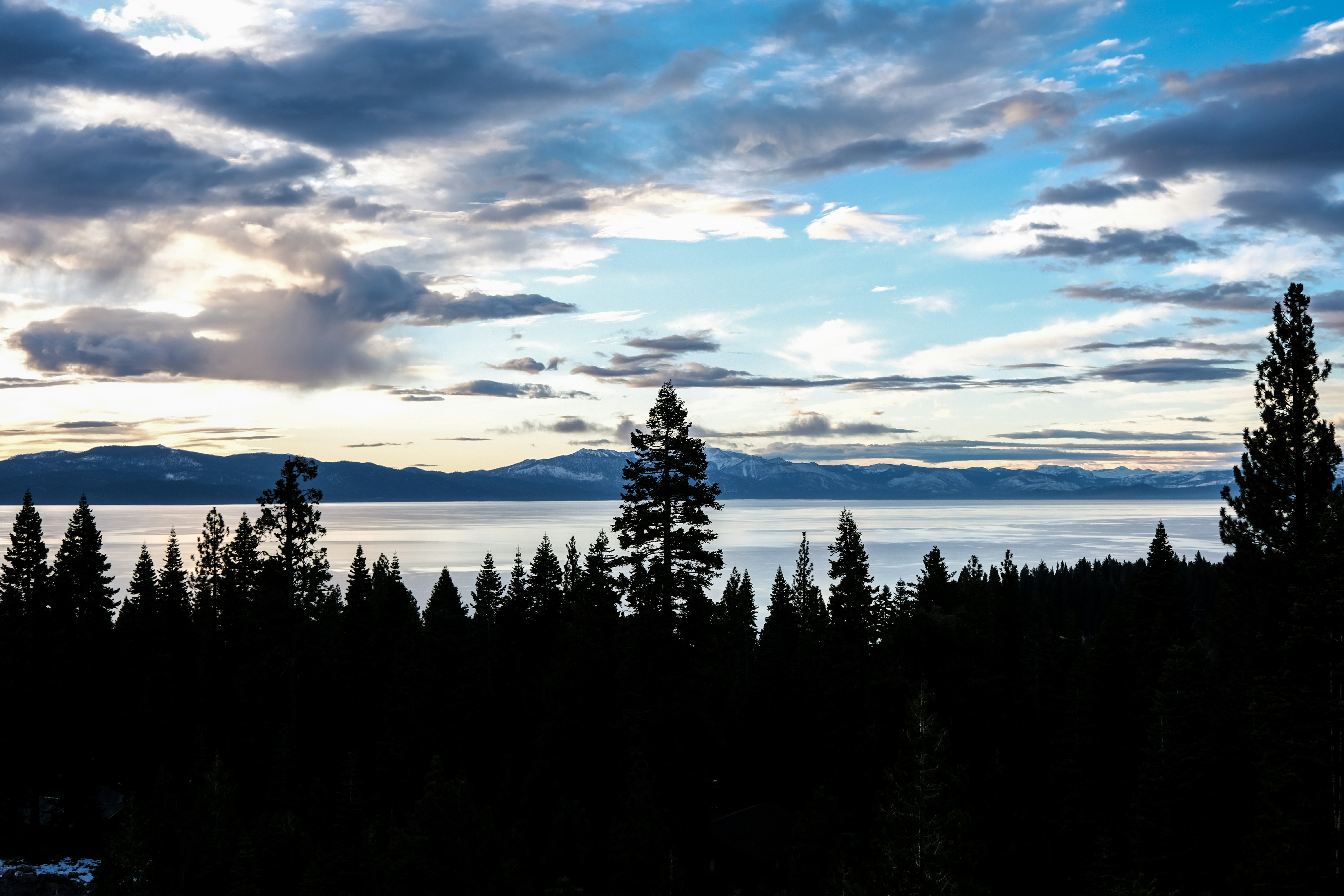 Photo by cestmoisheedy