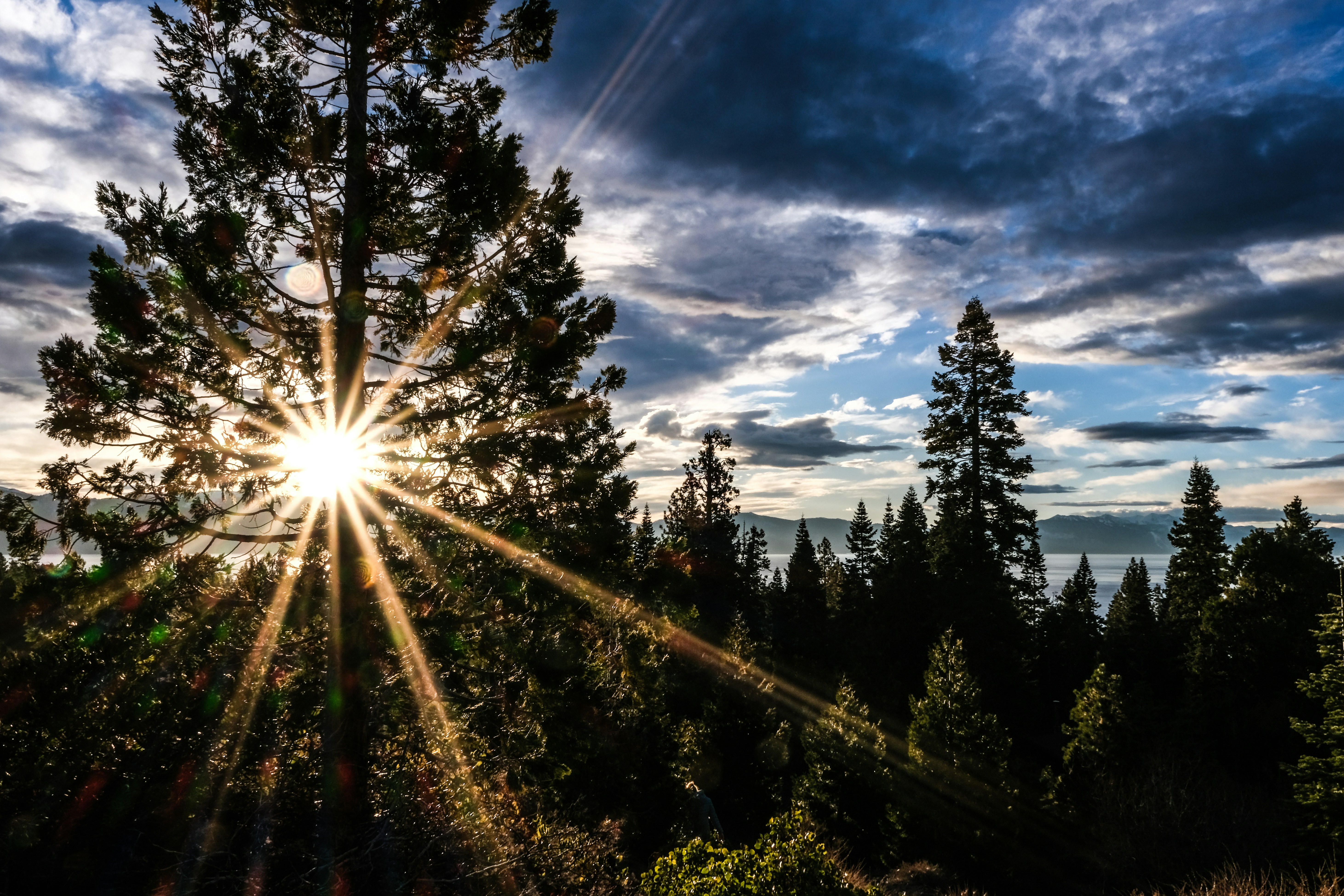 Photo by cestmoisheedy