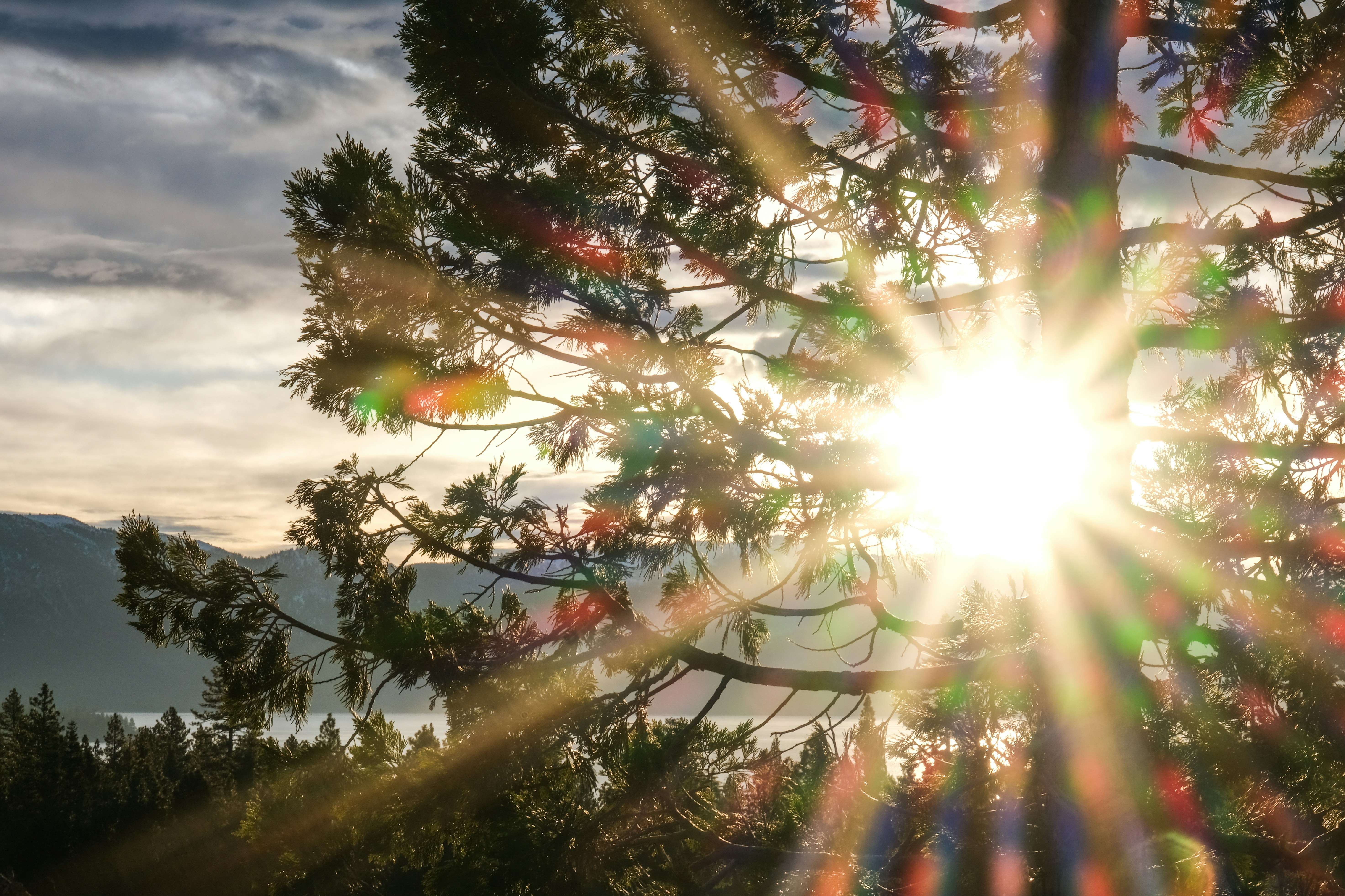 Photo by cestmoisheedy