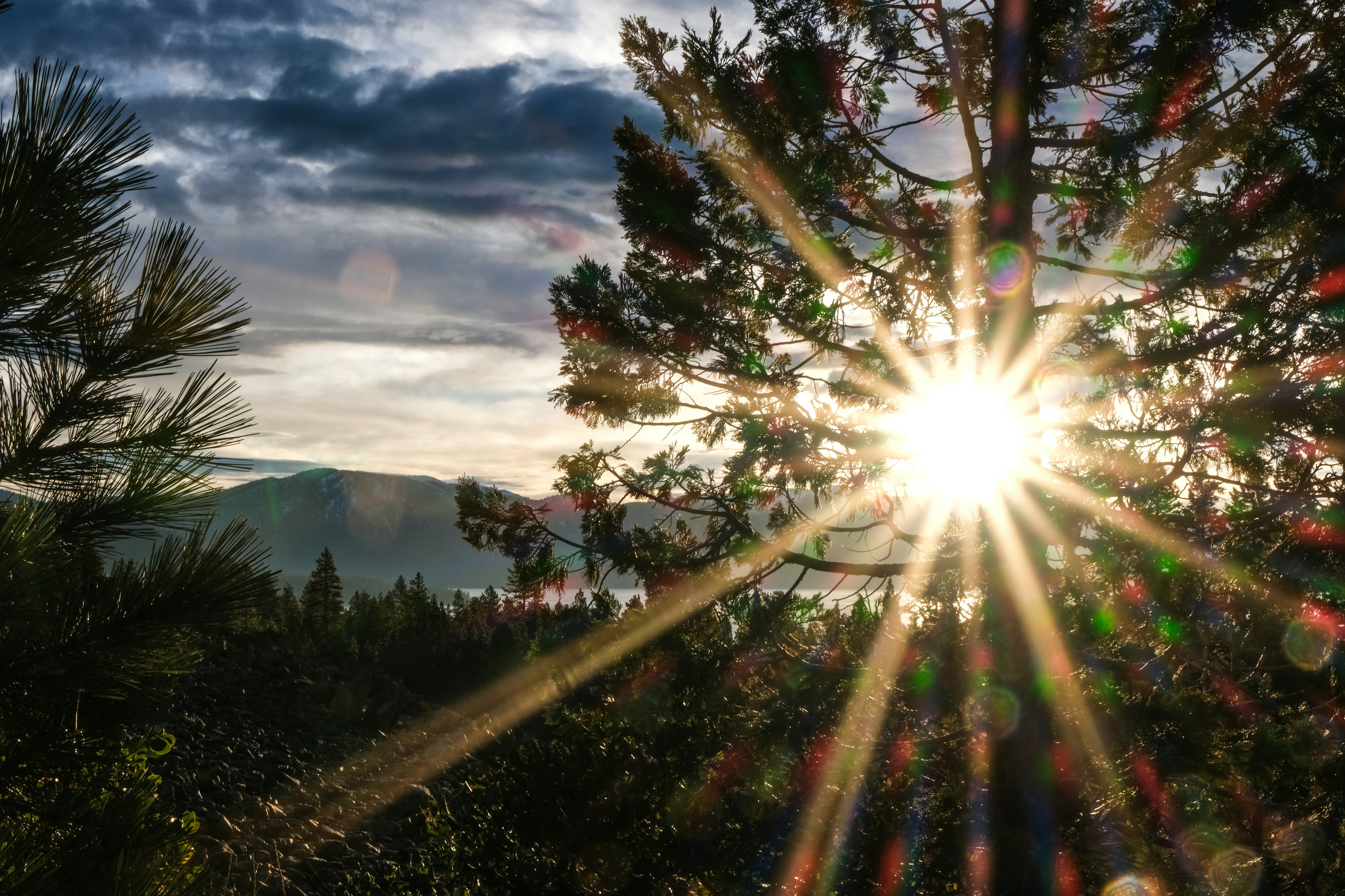 Photo by cestmoisheedy