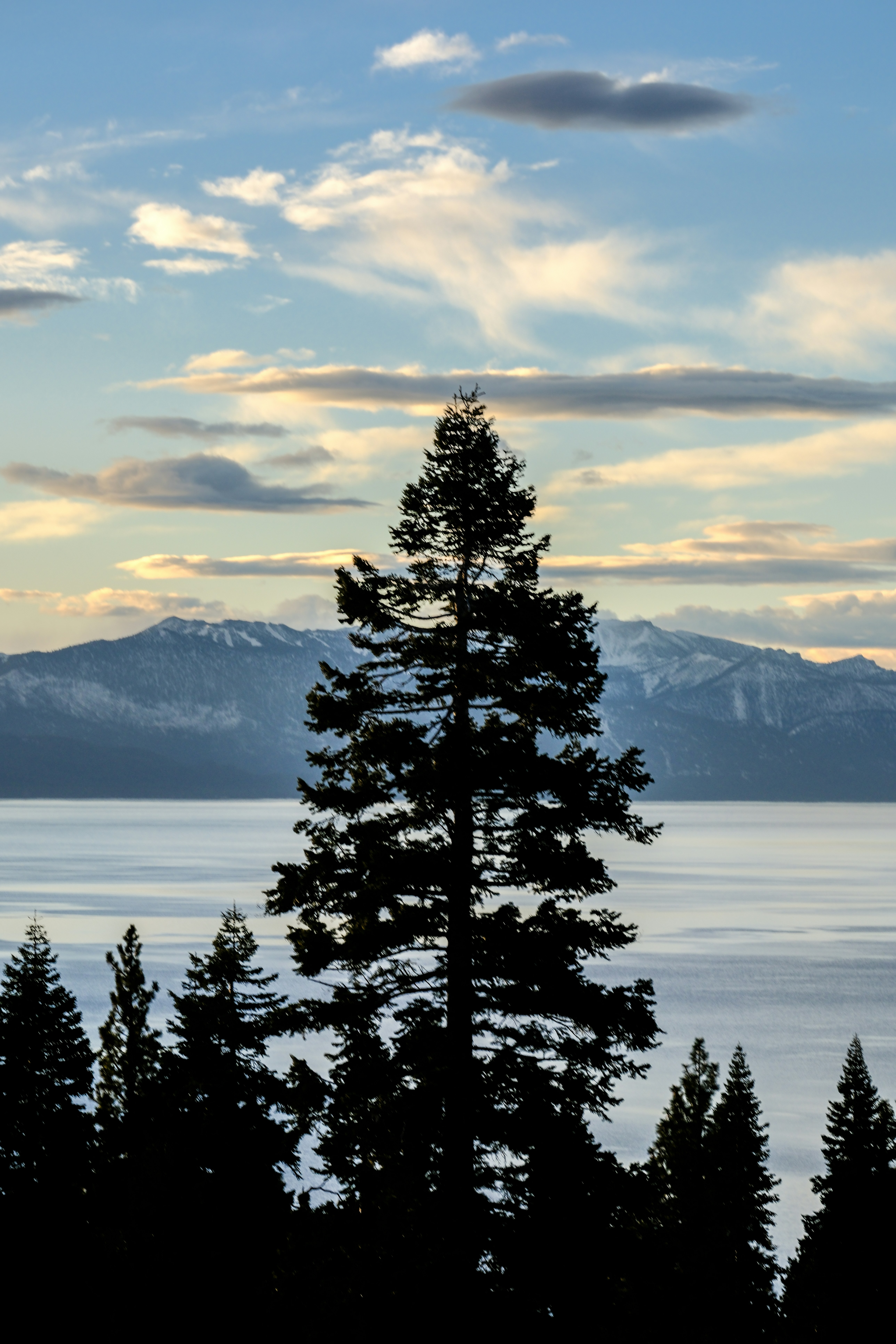 Photo by cestmoisheedy