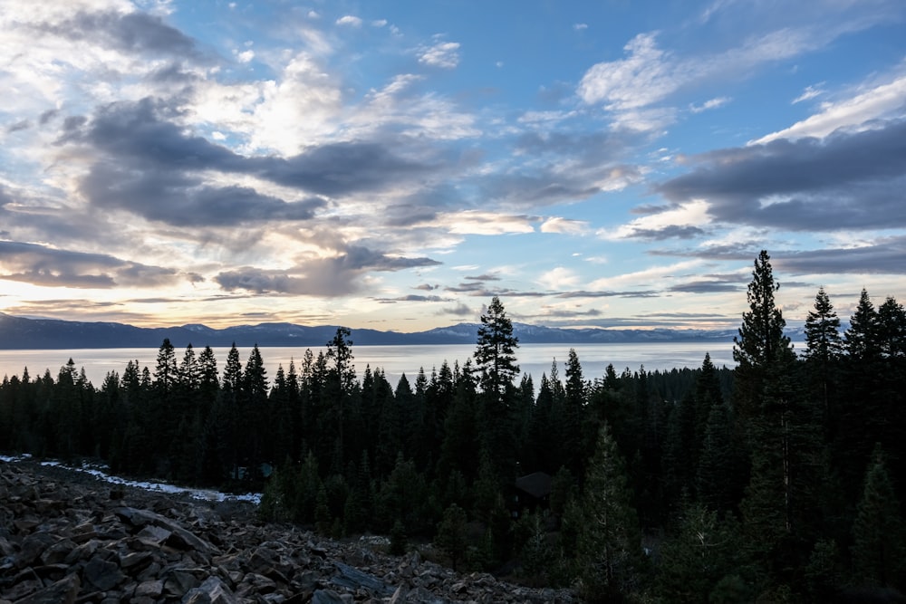 a scenic view of a lake surrounded by trees