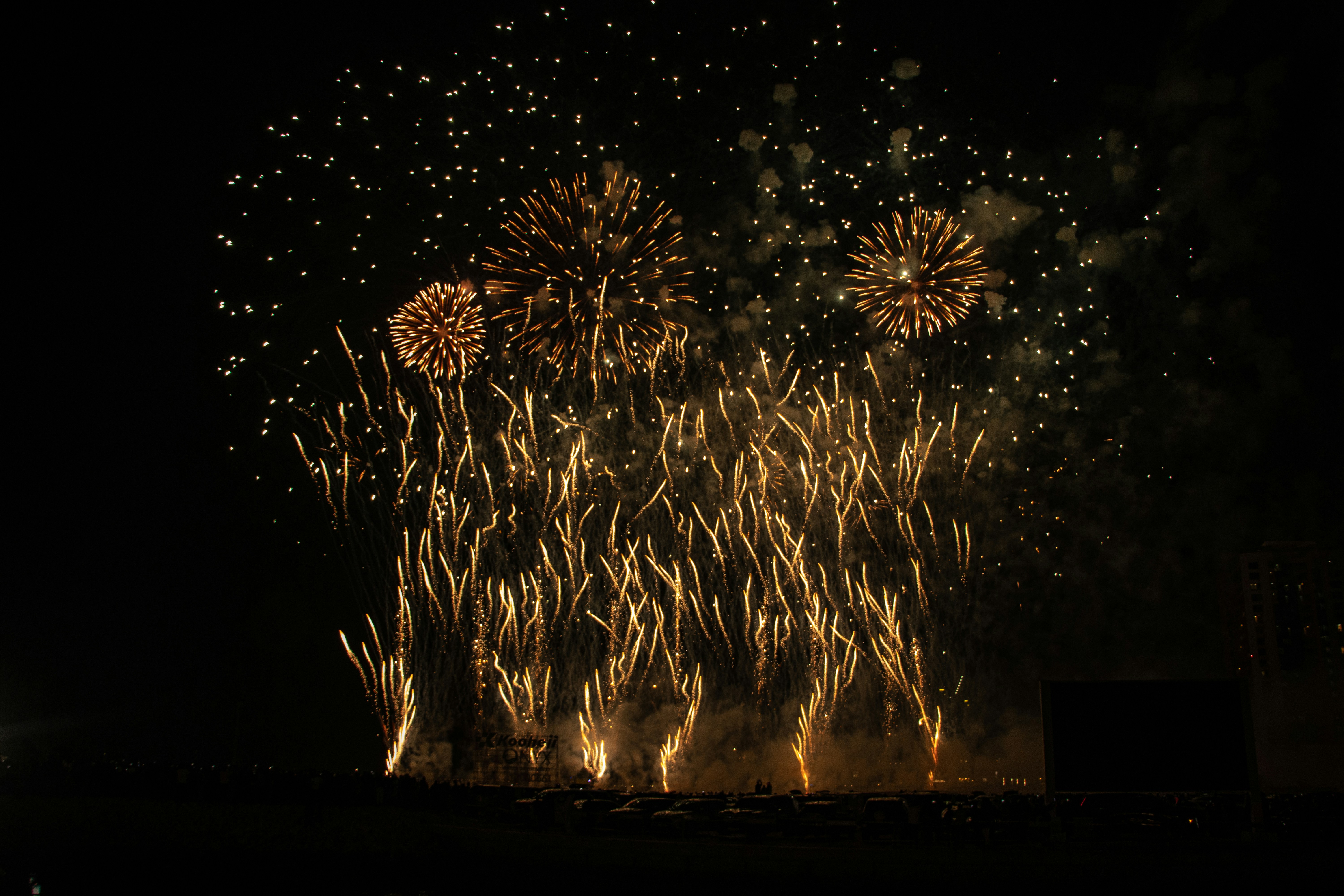 a bunch of fireworks are lit up in the night sky