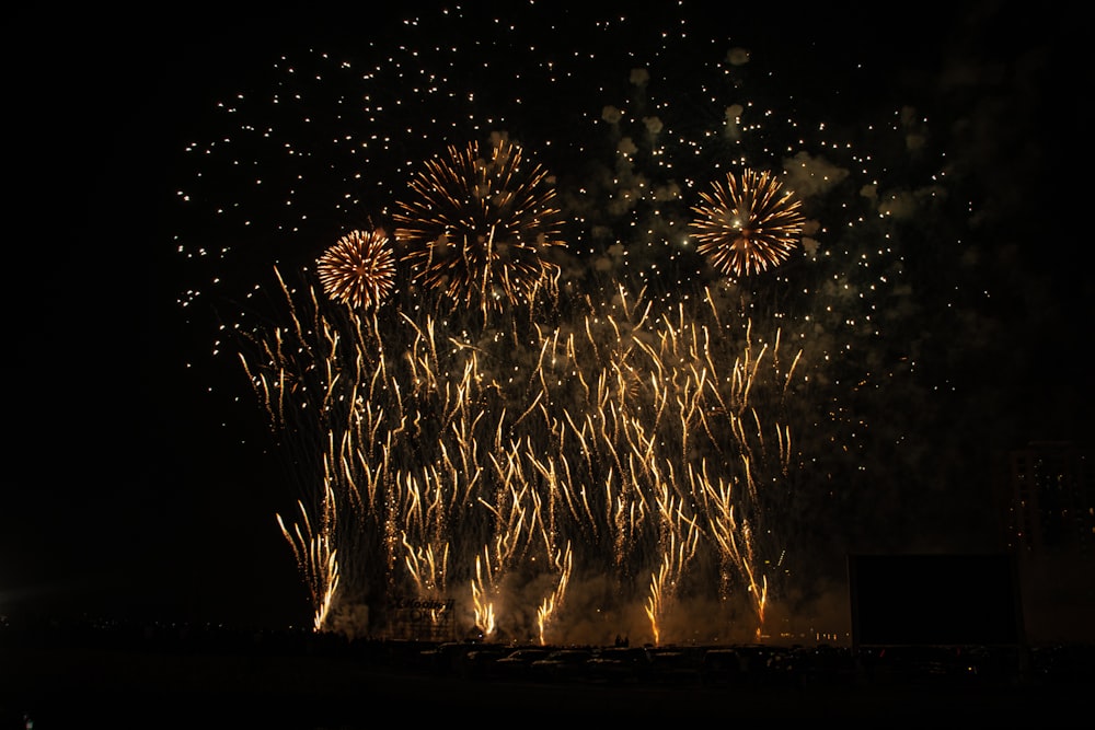 a bunch of fireworks are lit up in the night sky