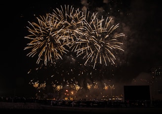 Bright and large fireworks burst in the night sky, creating intricate patterns with golden sparks. The scene is lively, and there is a dark, silhouetted foreground that includes spectators viewing the display.
