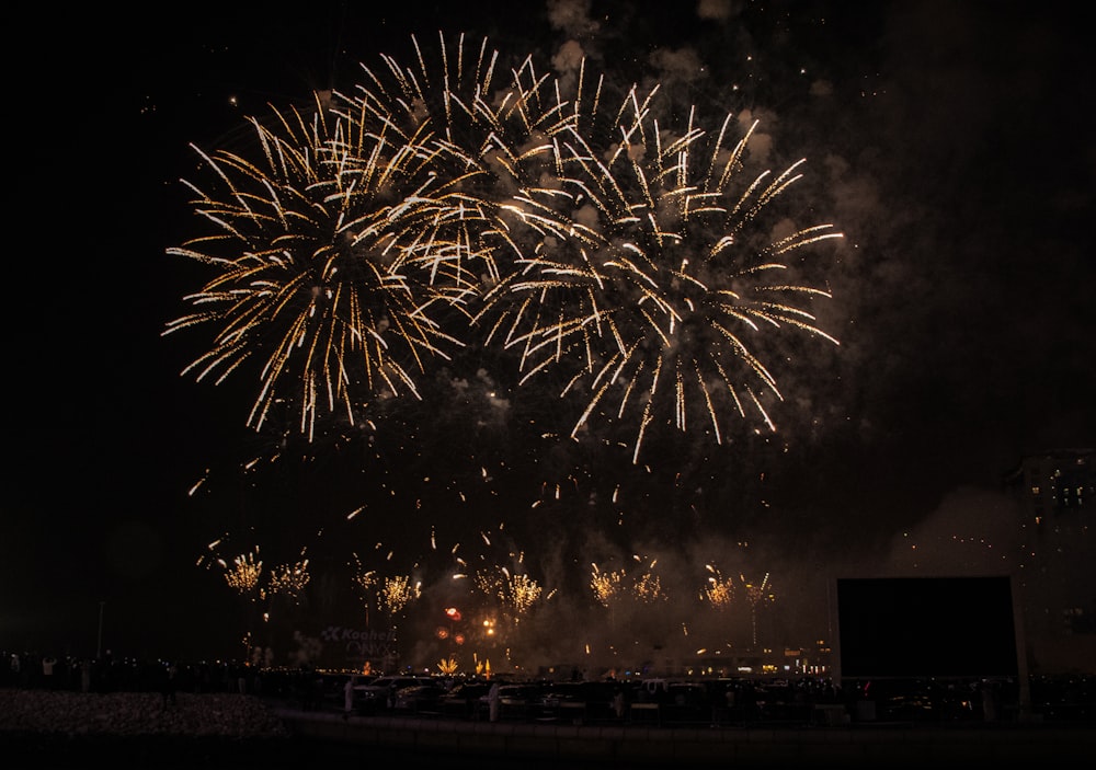 a bunch of fireworks are lit up in the night sky