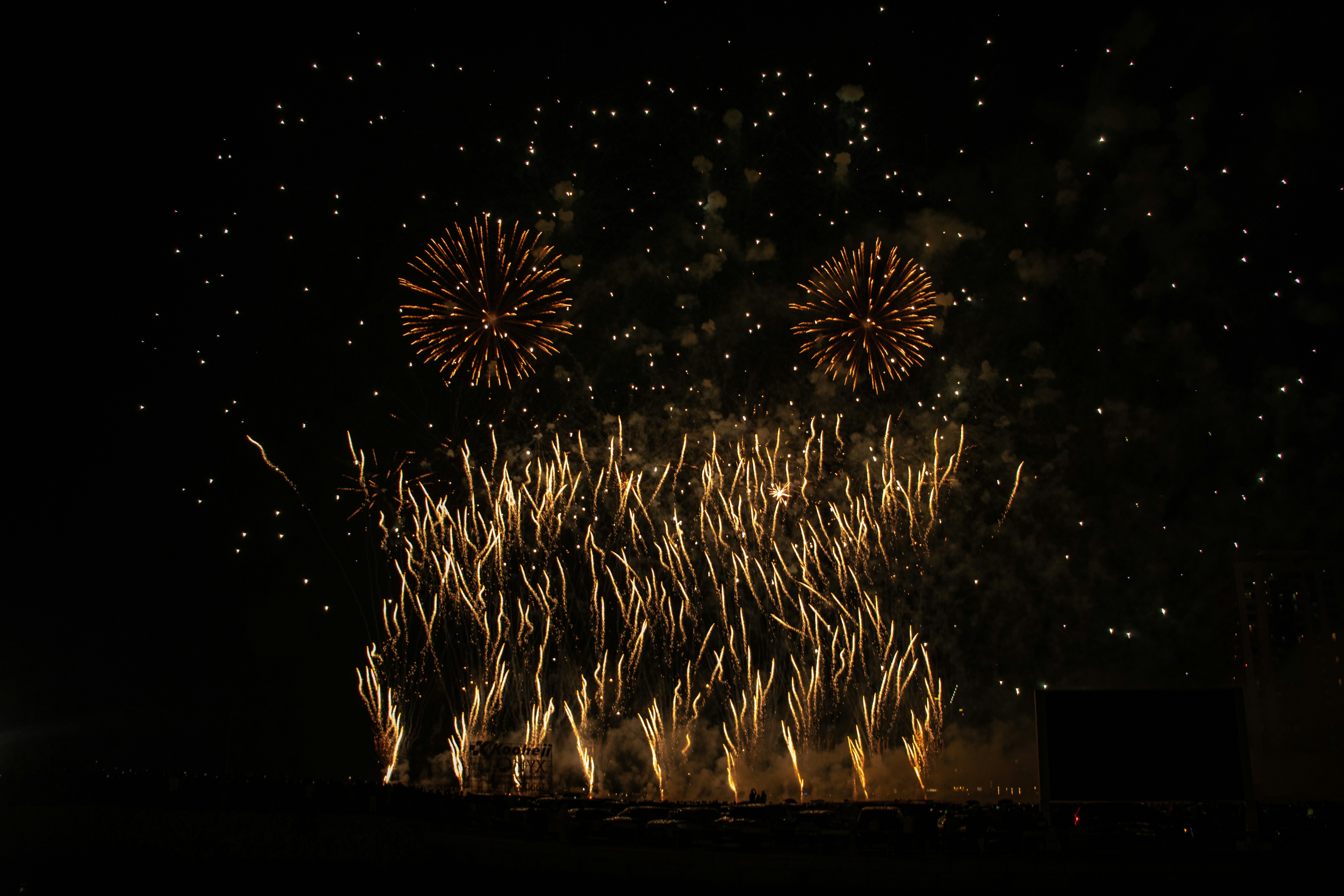 a bunch of fireworks are lit up in the night sky