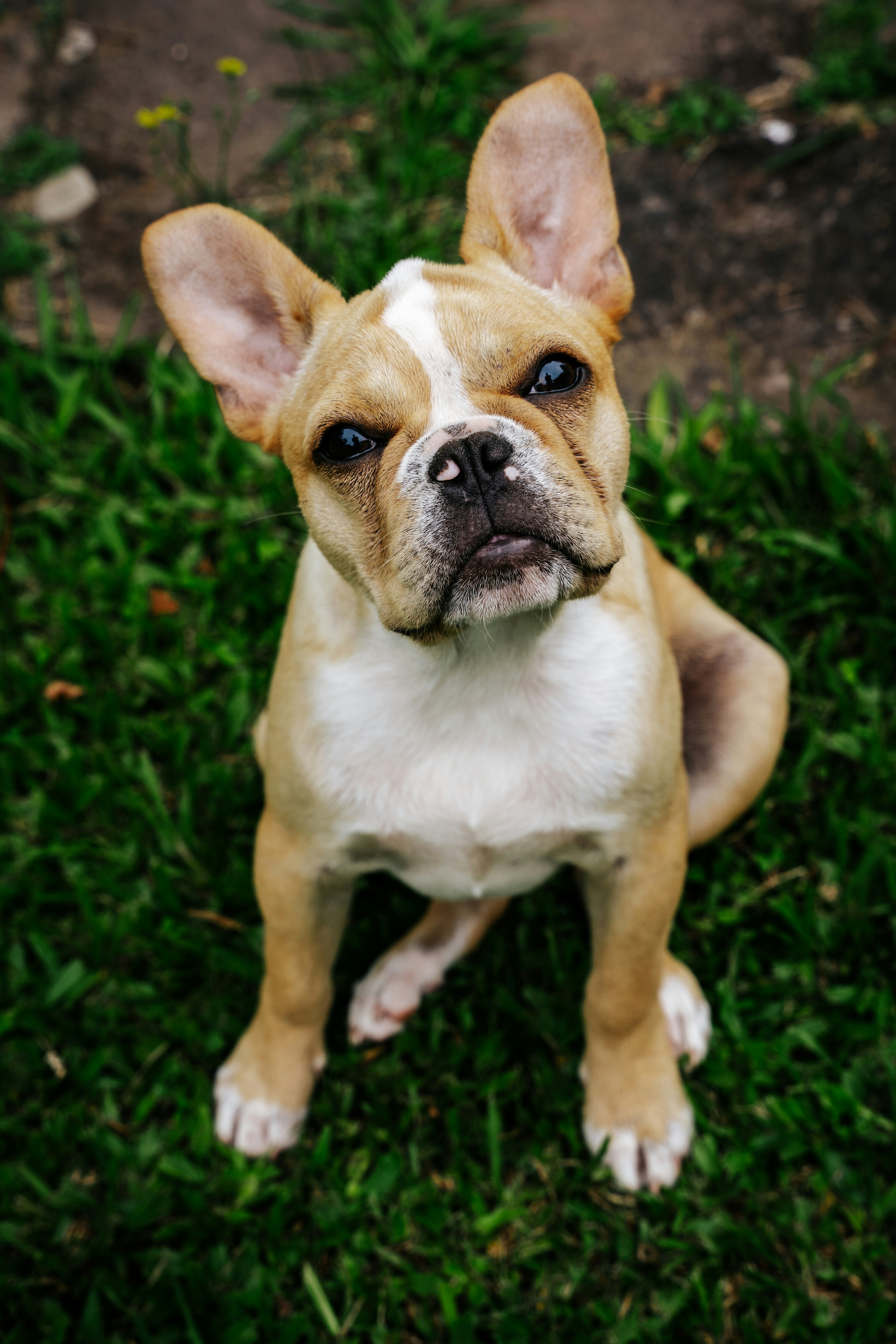 Photo by katalinsalles