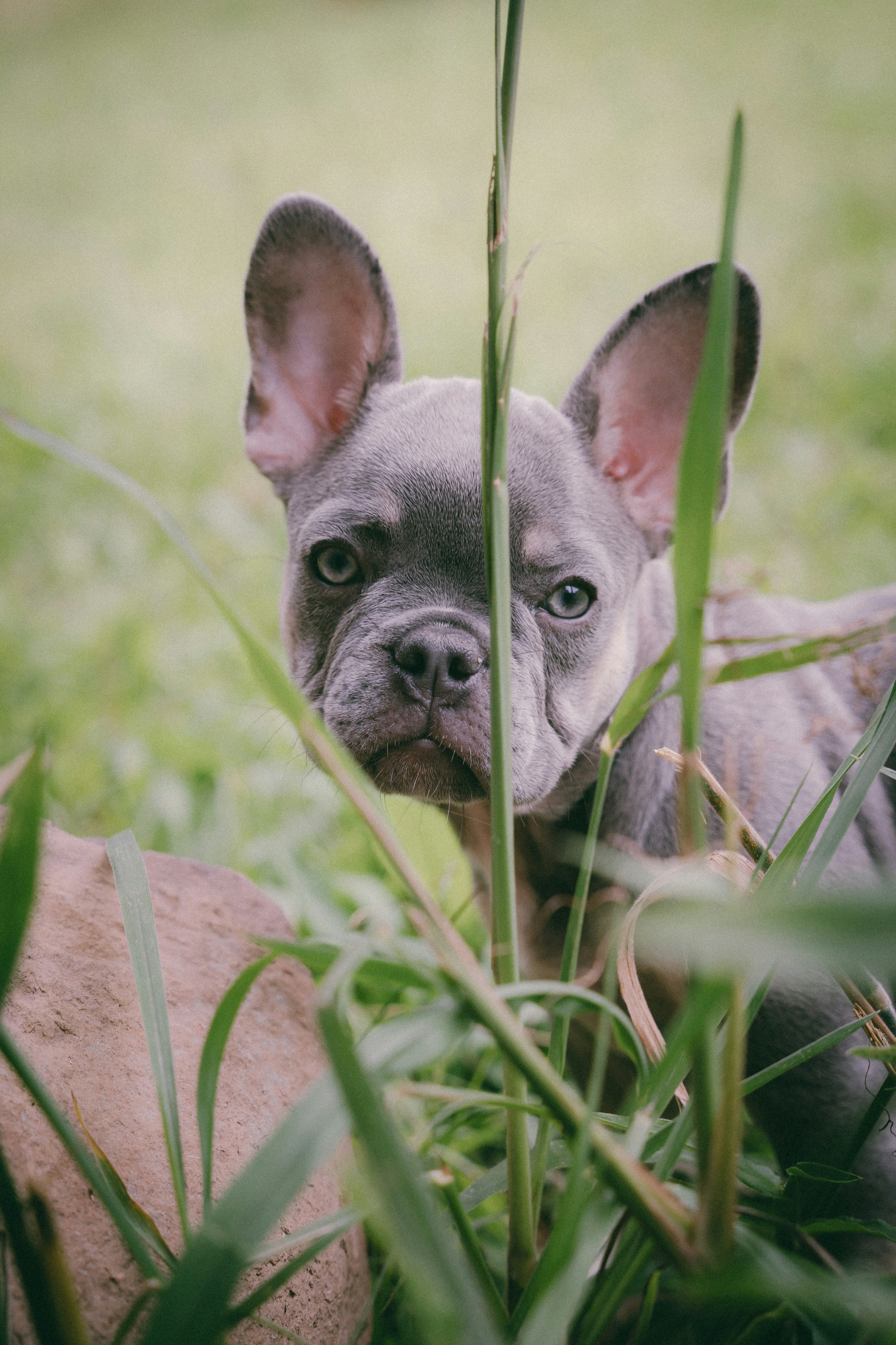 Photo by katalinsalles