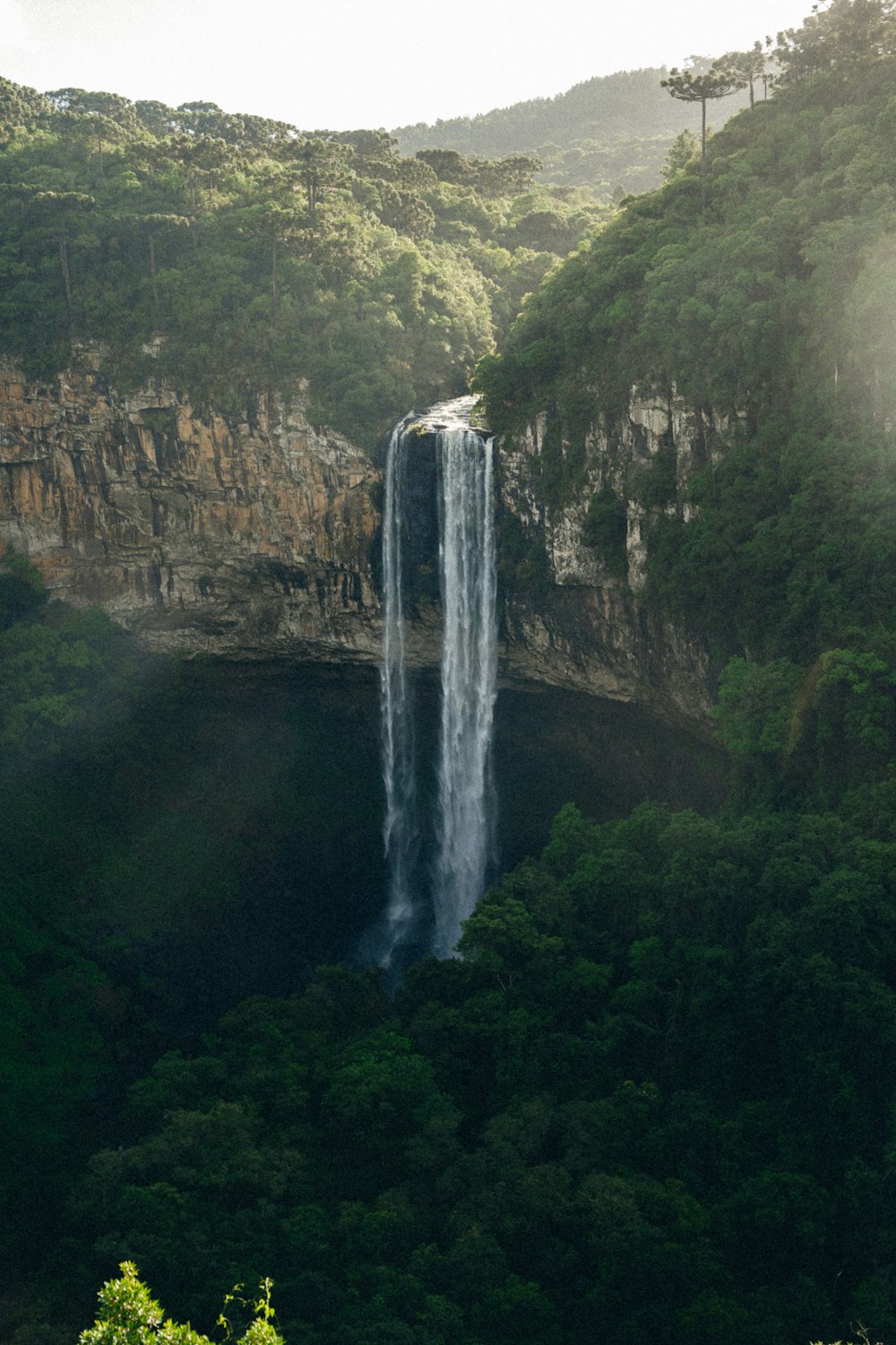 Une grande cascade se trouve au milieu d’une forêt