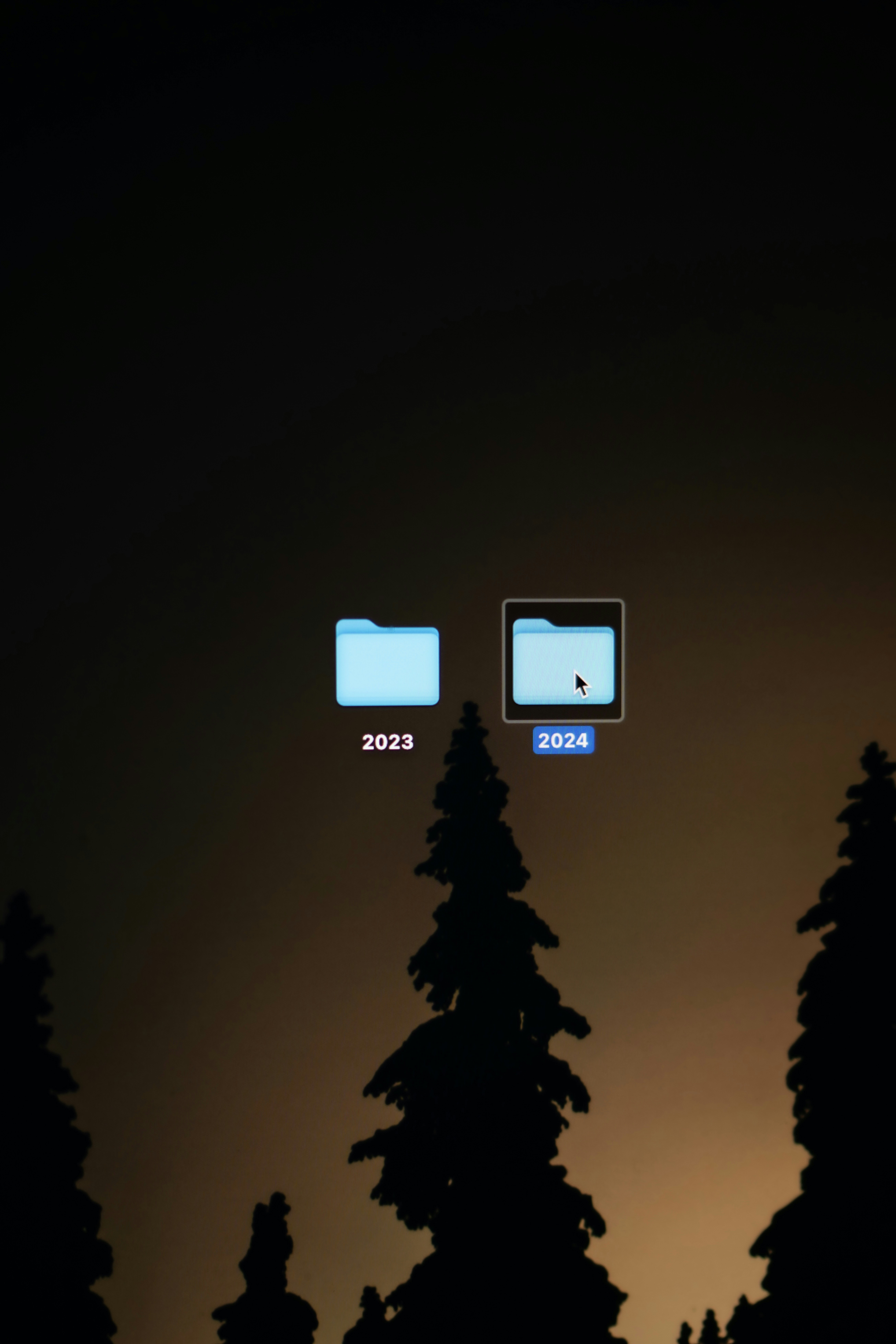 a couple of trees that are next to each other