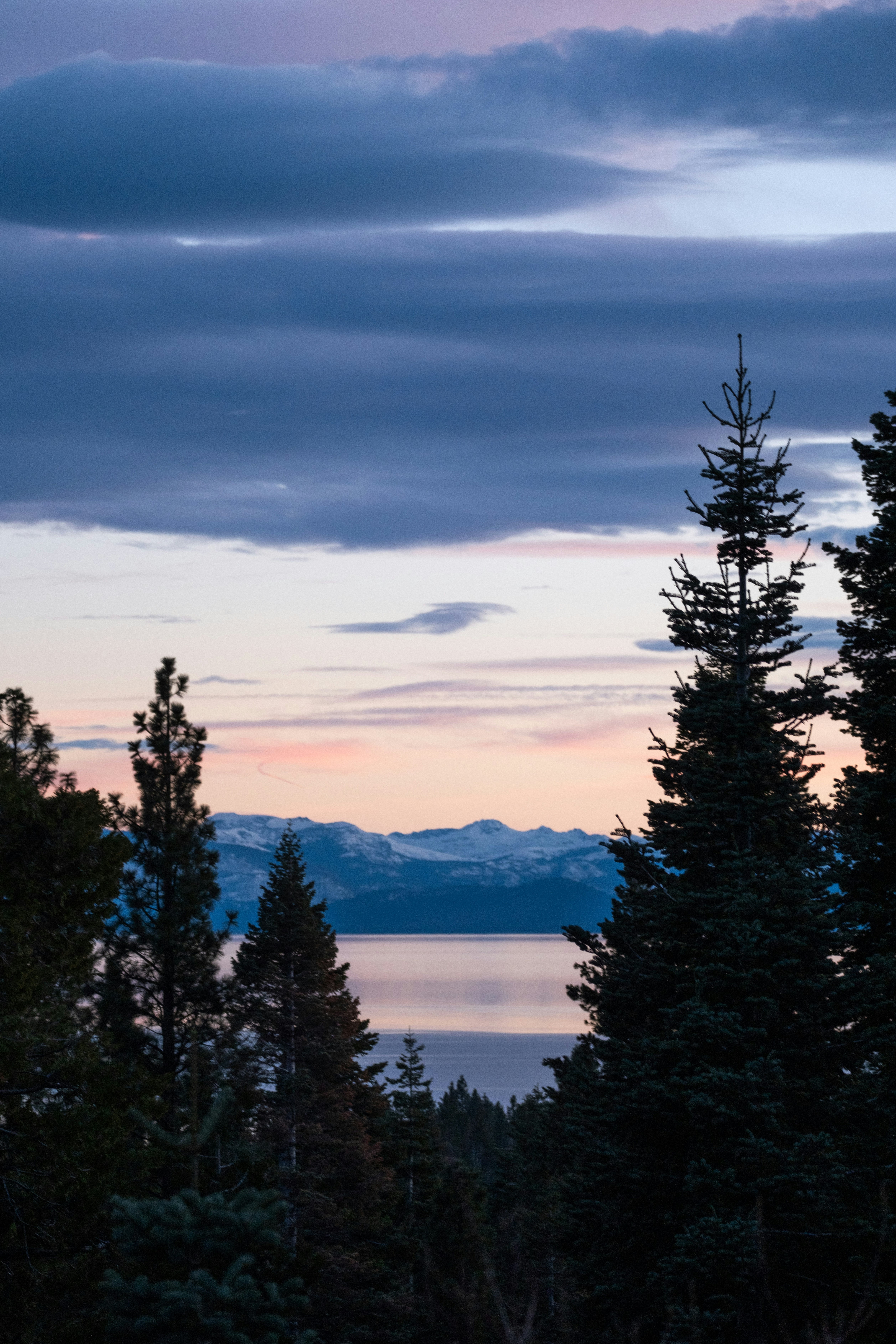 Photo by cestmoisheedy