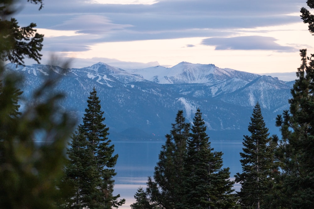 a view of a mountain range with trees in the foreground