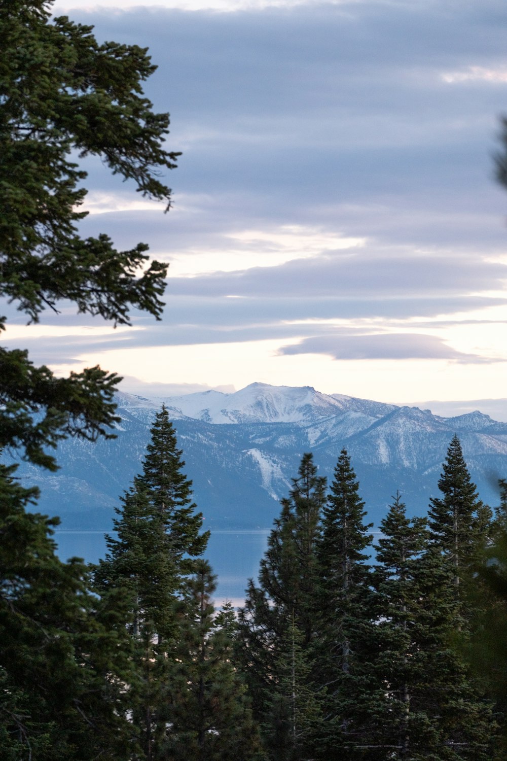 a view of the mountains and trees from a distance