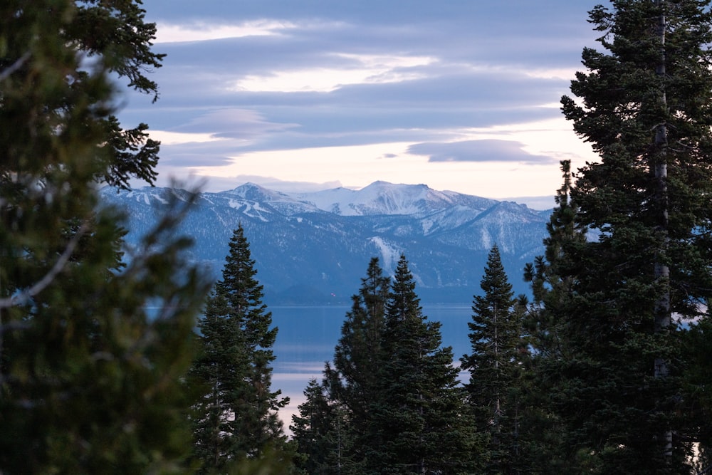 a view of a mountain range through some trees