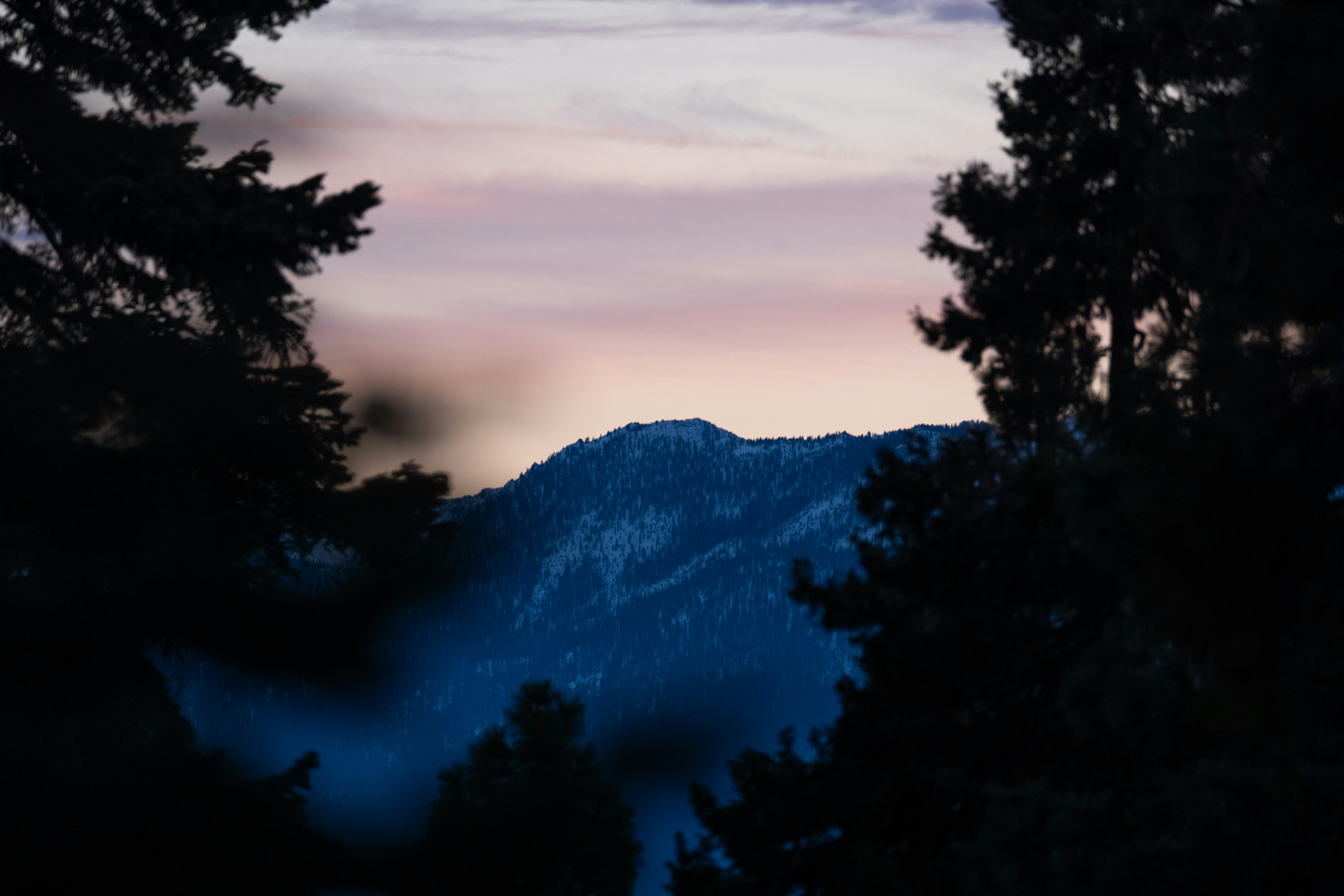 Photo by cestmoisheedy