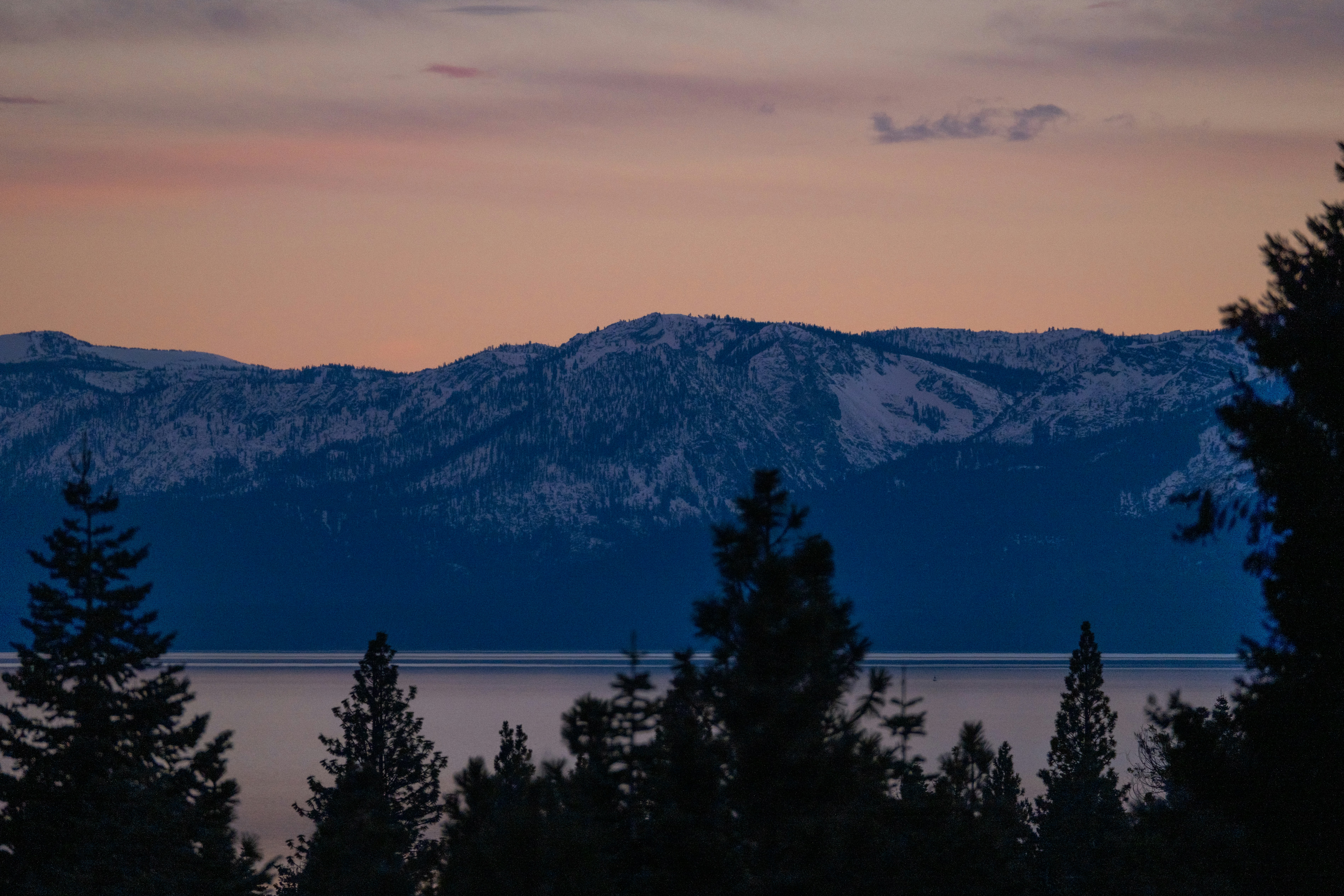 a view of a mountain range with trees in the foreground