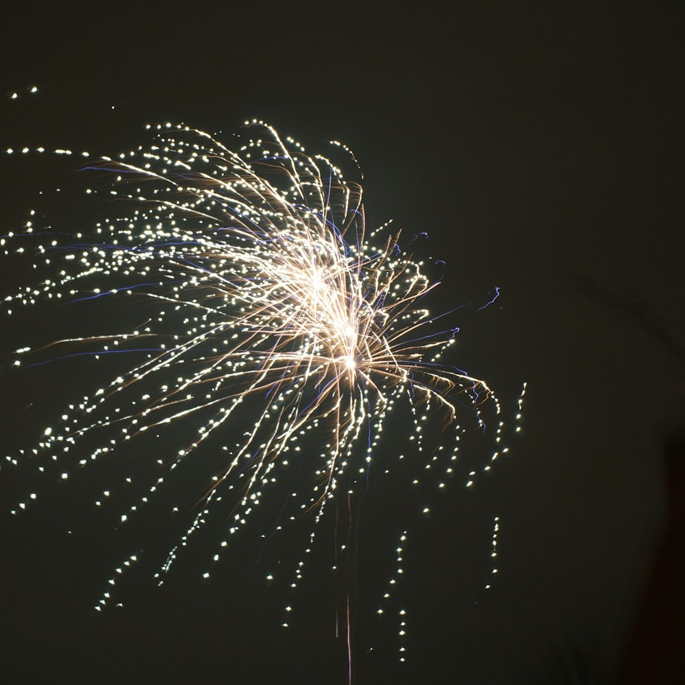 a fireworks is lit up in the night sky