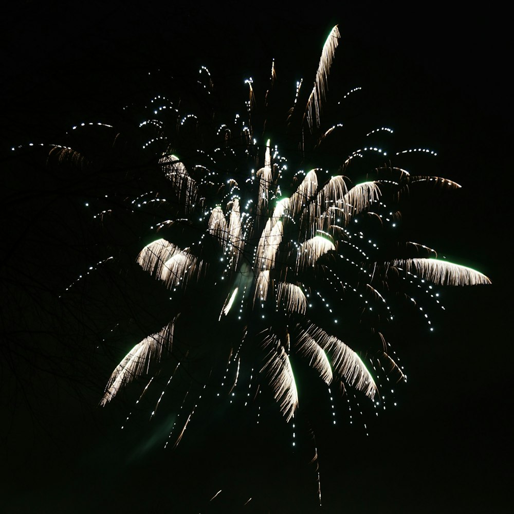 a large fireworks is lit up in the night sky