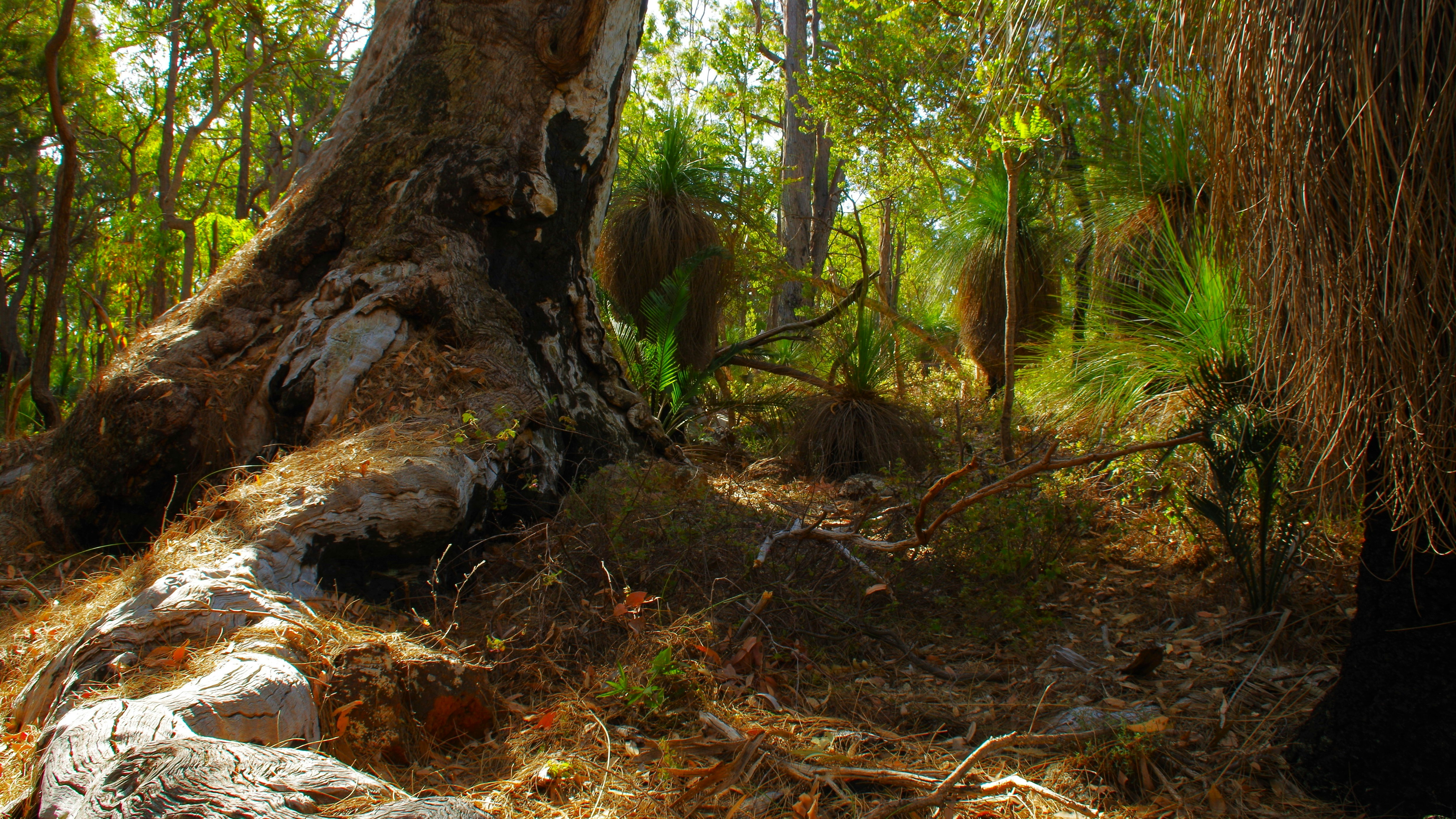 Photo by photoken123