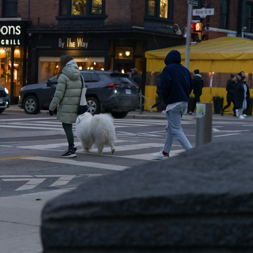 eine Person, die mit einem weißen Hund über eine Straße geht