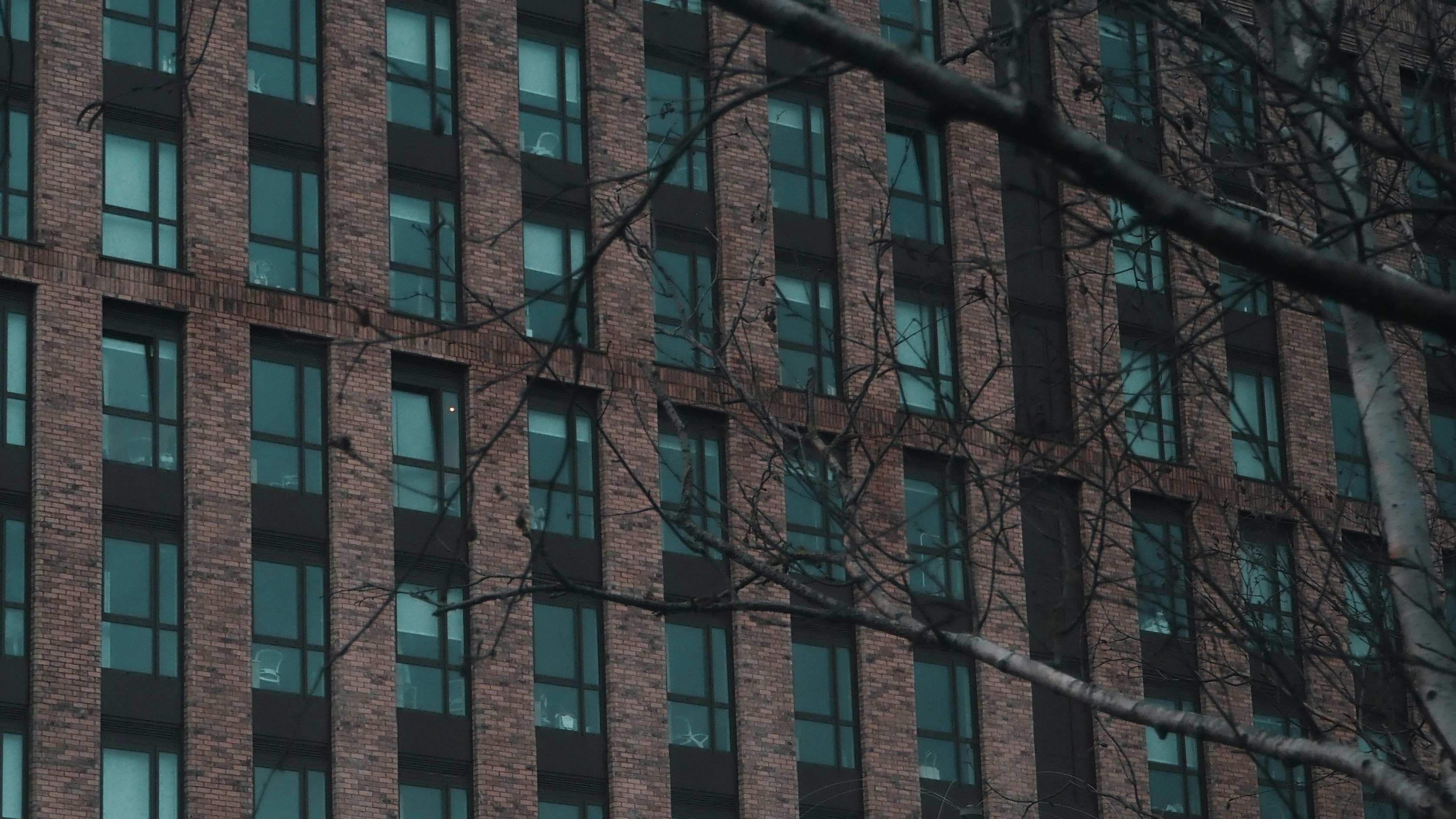 Photo by jackgardner