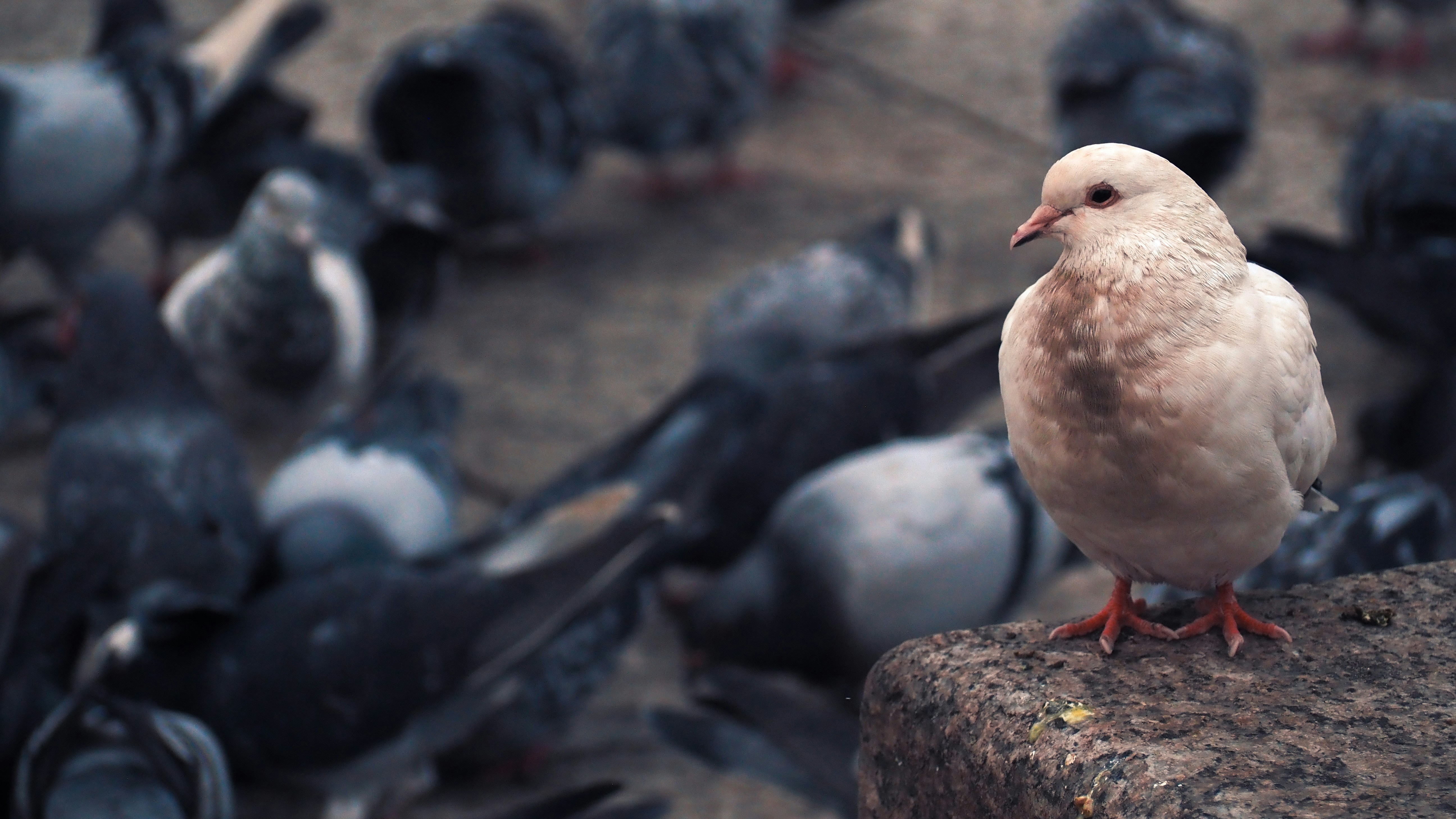 Photo by jackgardner