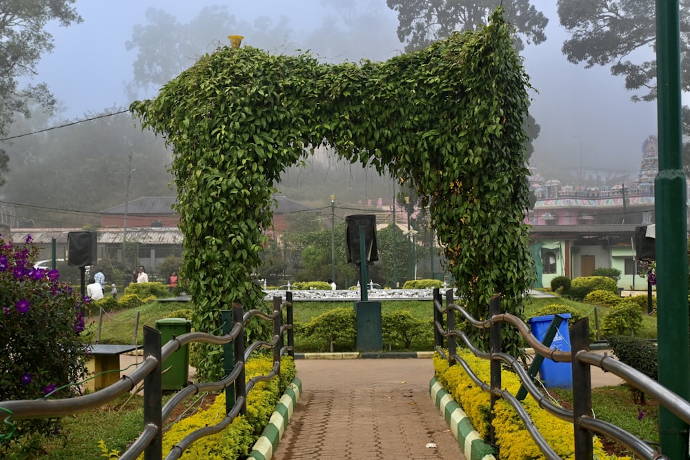 a walkway that has a bunch of plants on it