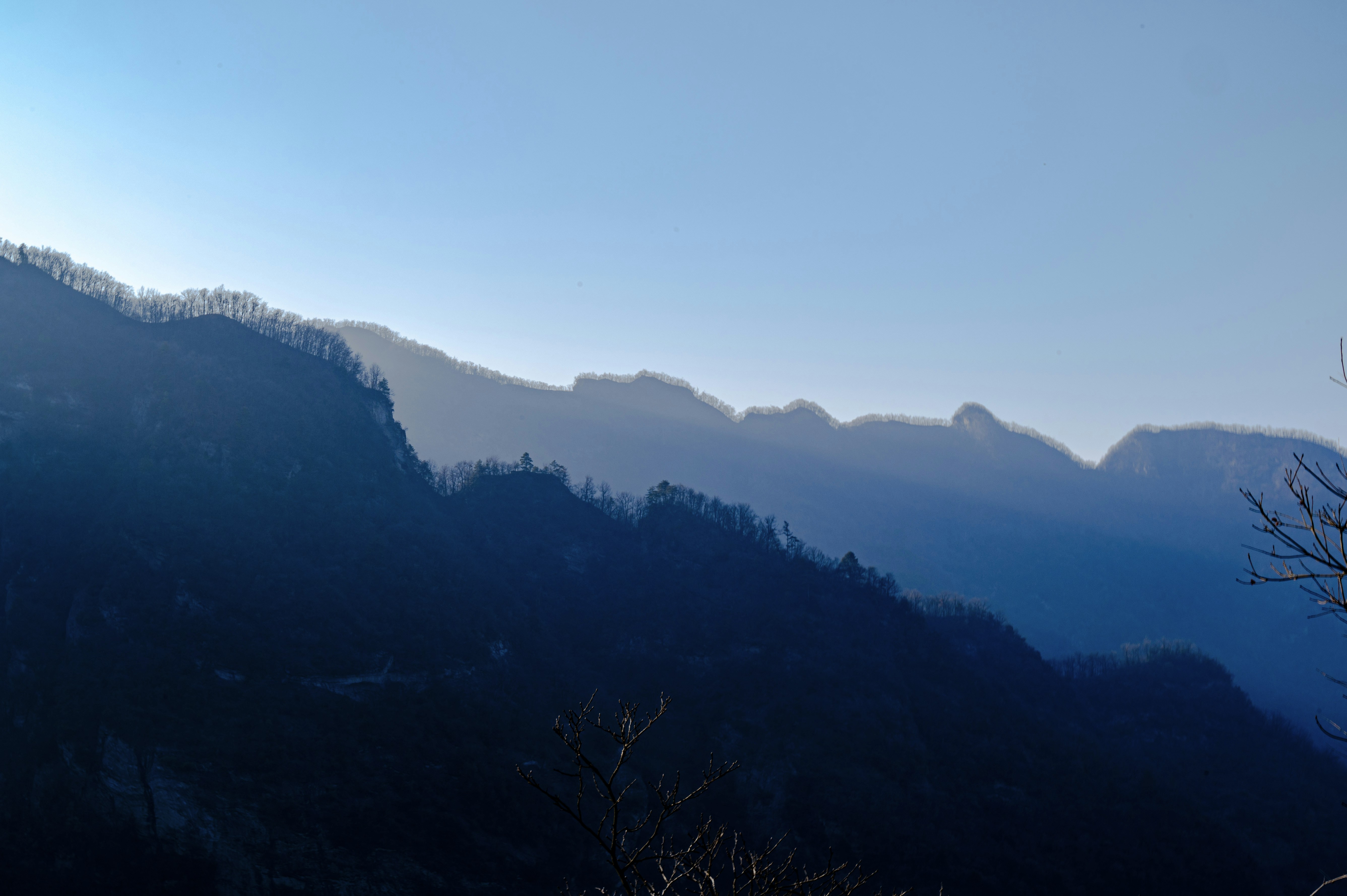 Photo by excellentcx