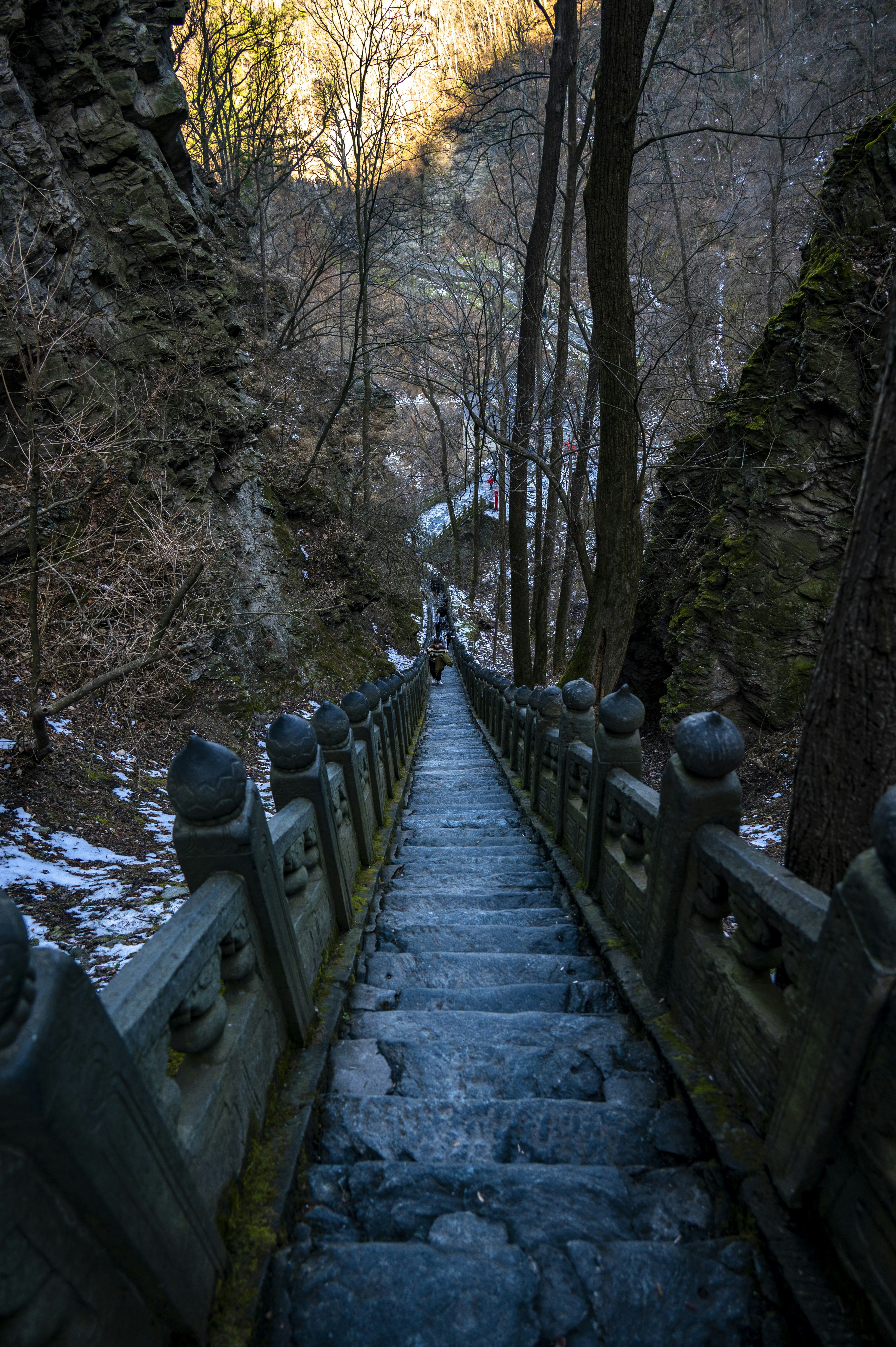 Photo by excellentcx