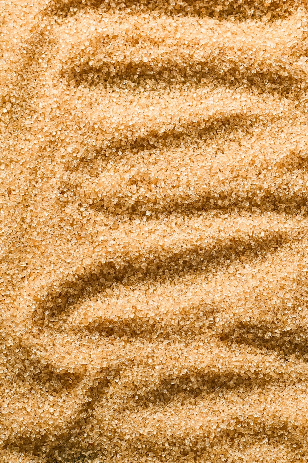 une zone sablonneuse avec une petite quantité de sable