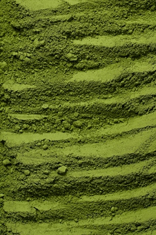 a close up of a green colored substance