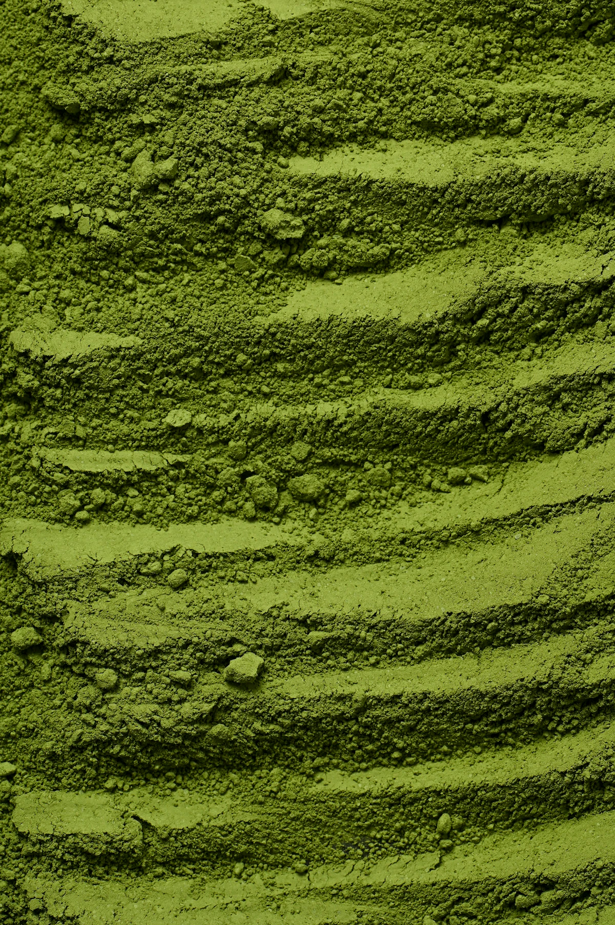 Bhoomiza Organics Moringa Powder — natural moringa leaf powder