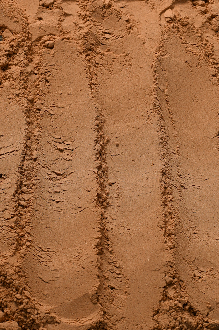 Fine, deep-brown cocoa powder in soft light