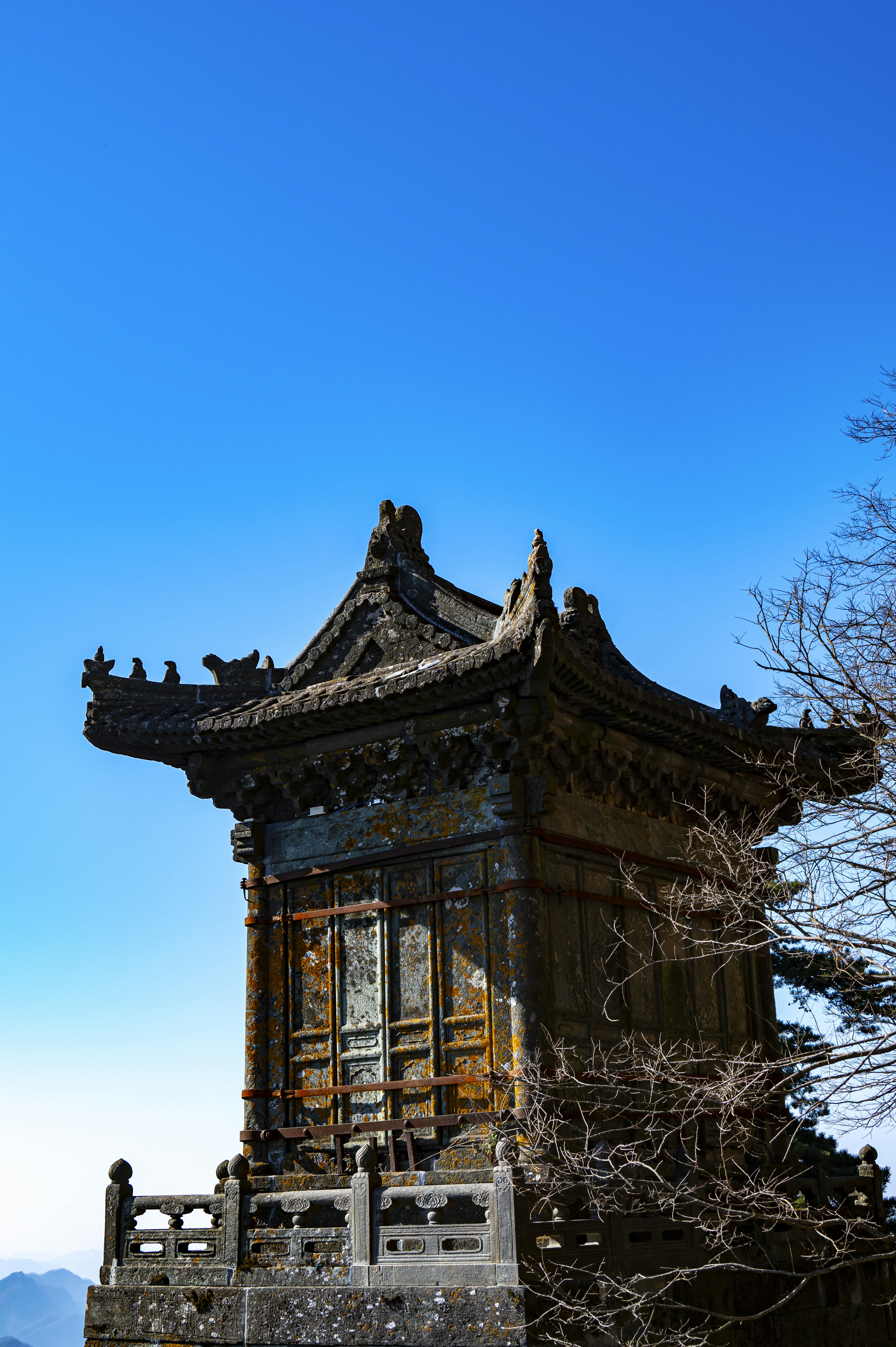 Photo by excellentcx