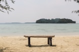 a wooden bench sitting on top of a sandy beach