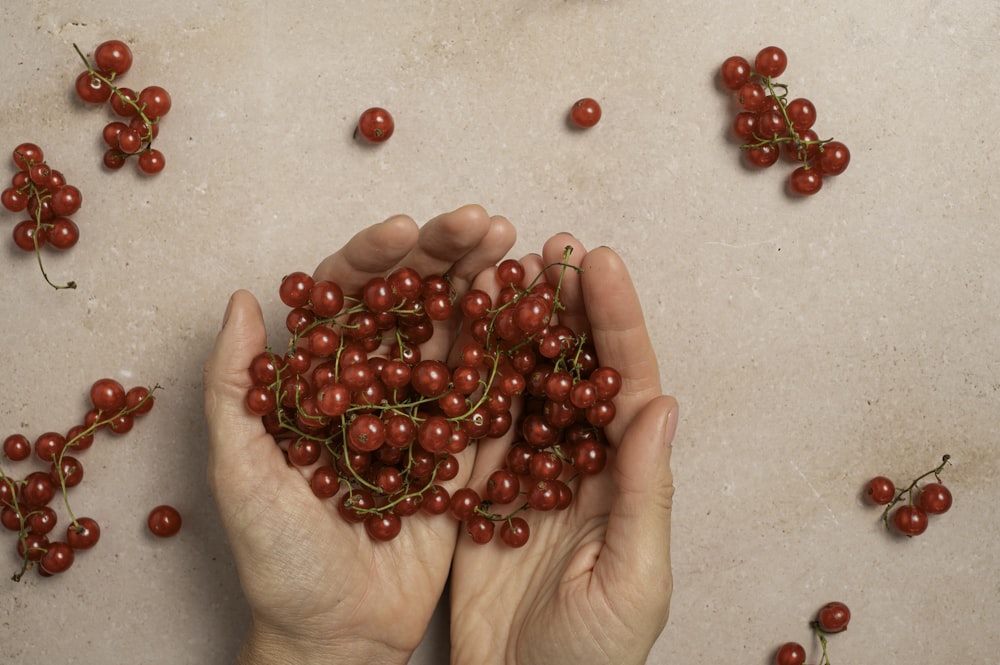 una persona sosteniendo un manojo de frutos rojos