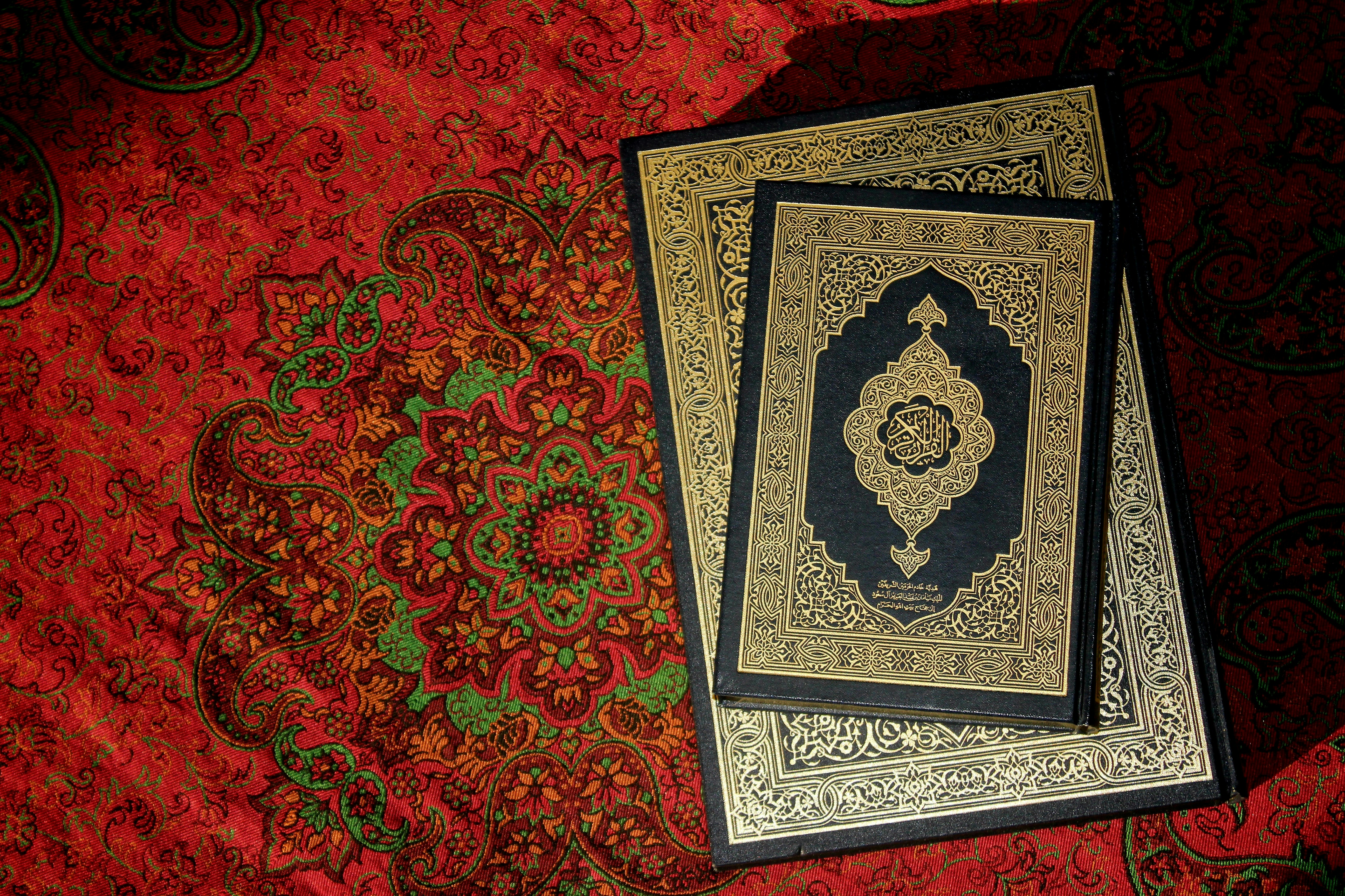 Photo by manavimoghadam