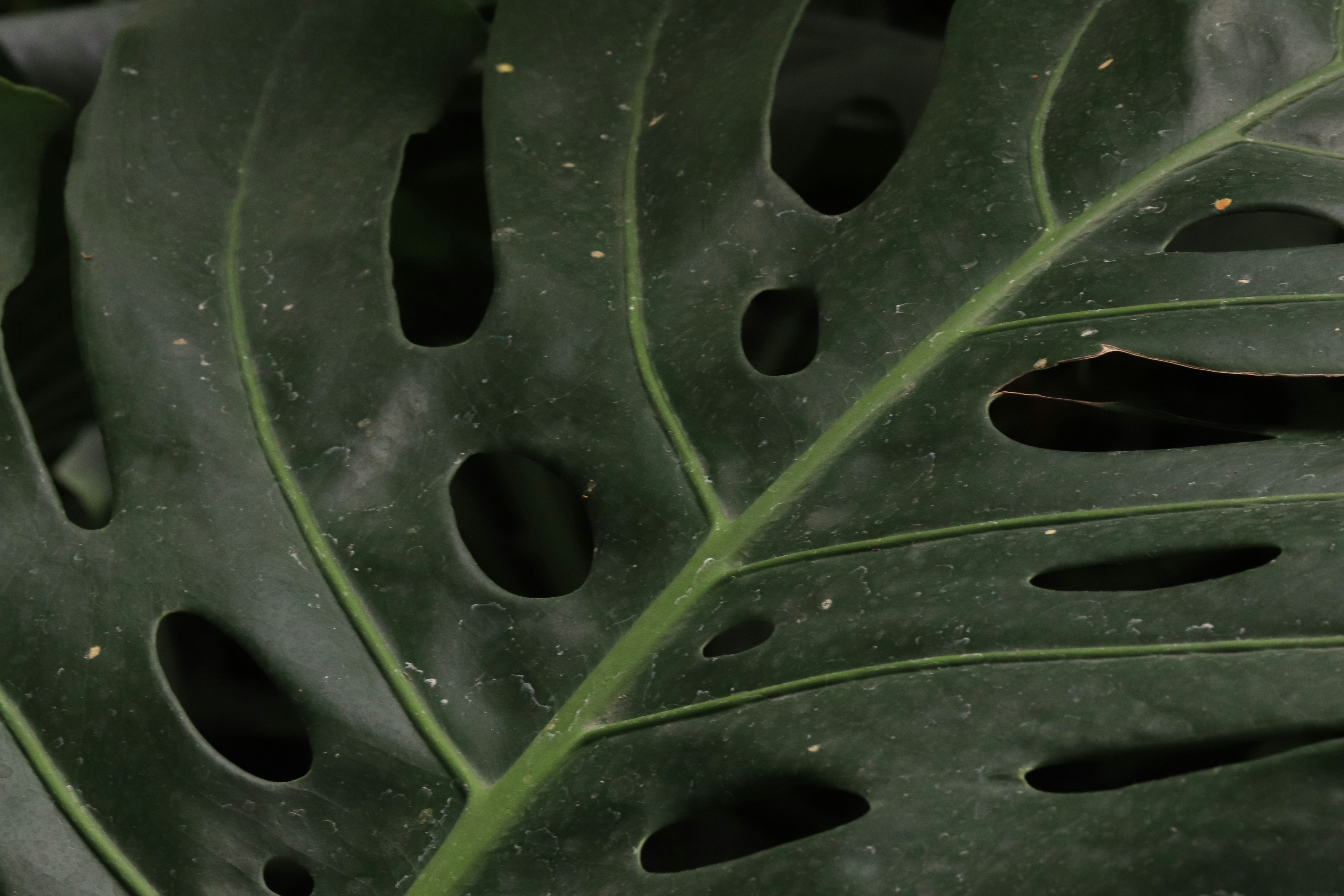 Photo by alenachia88