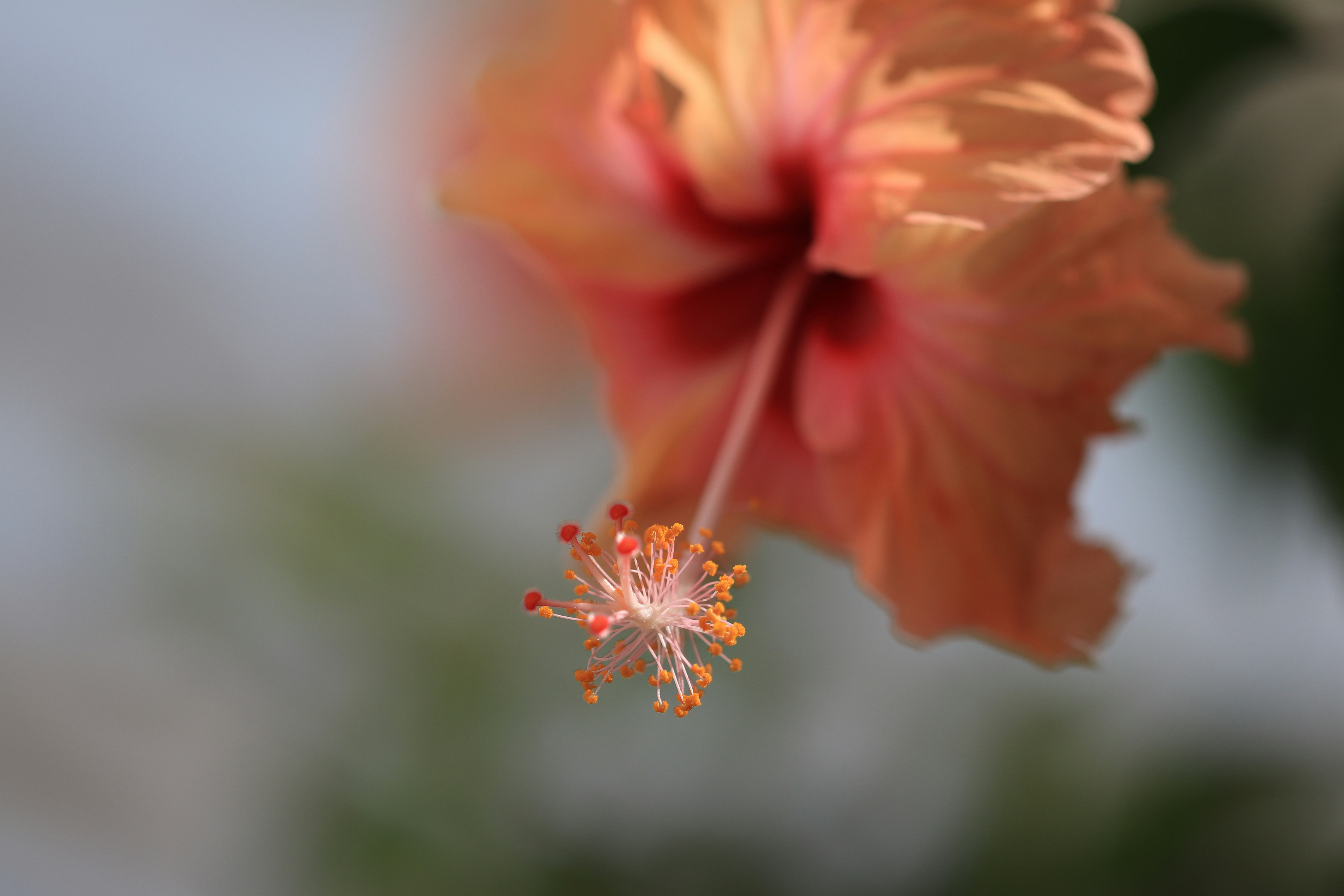 Photo by alenachia88