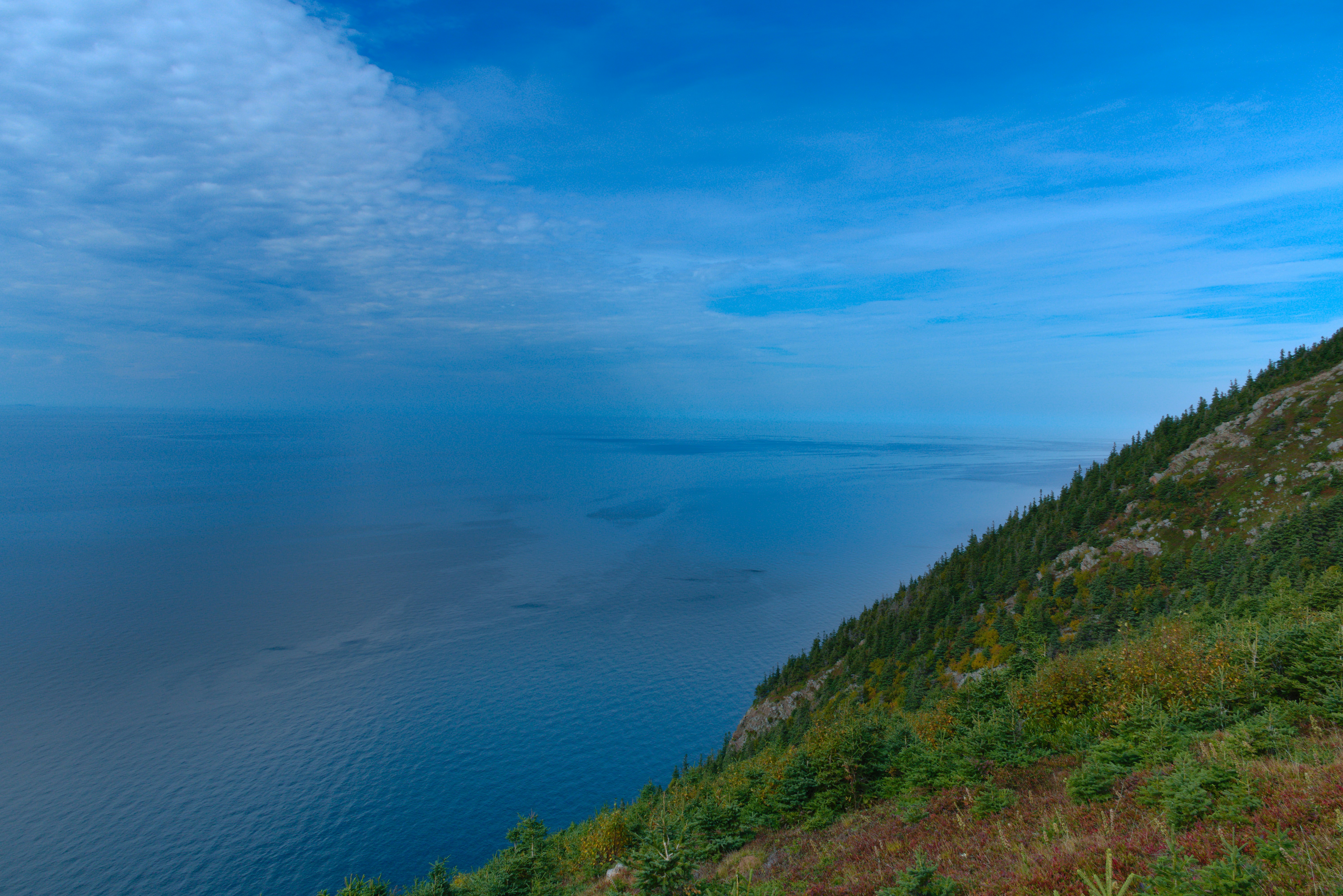 Photo by bionicpeddlar