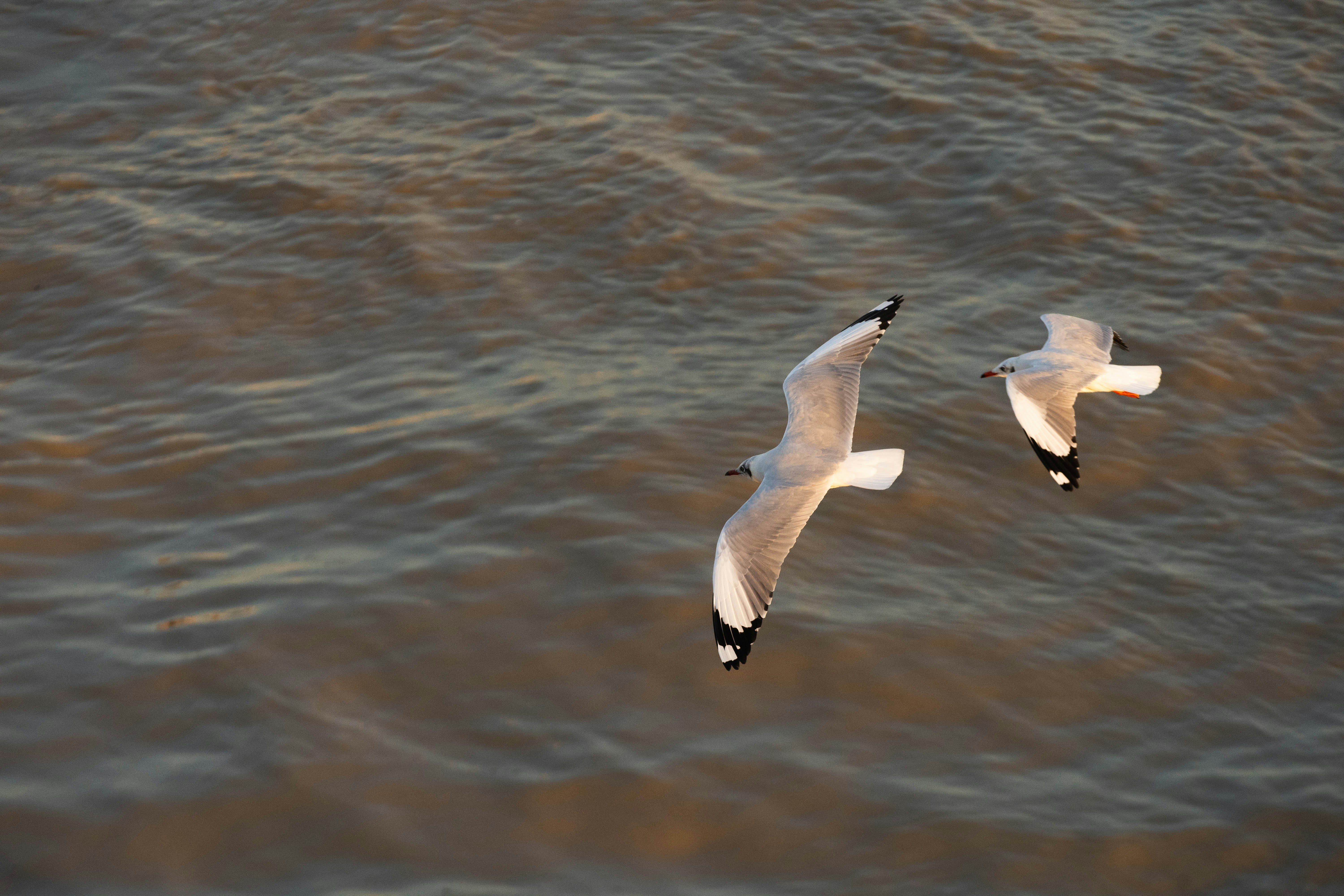 Photo by mrthetkhine