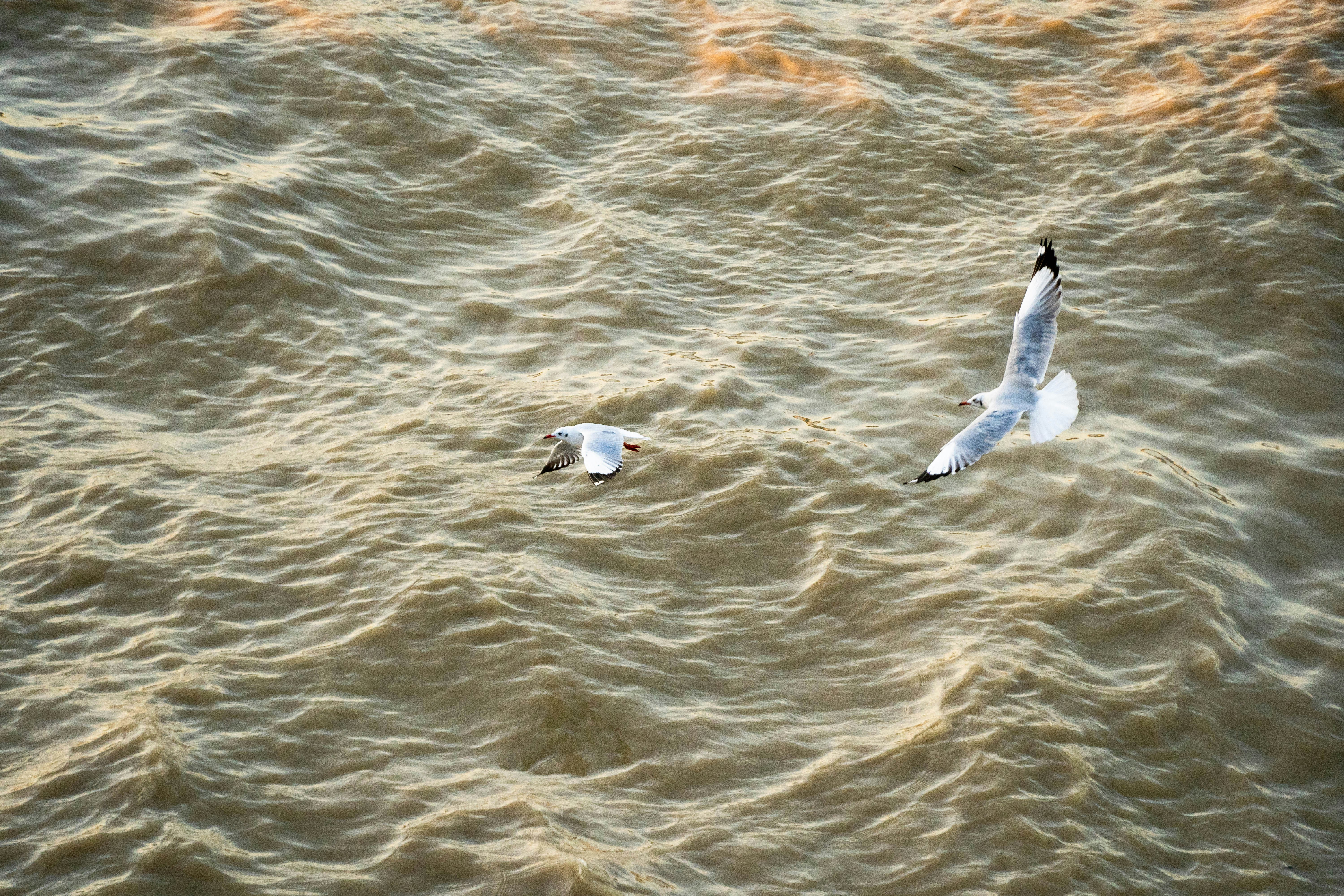 Photo by mrthetkhine