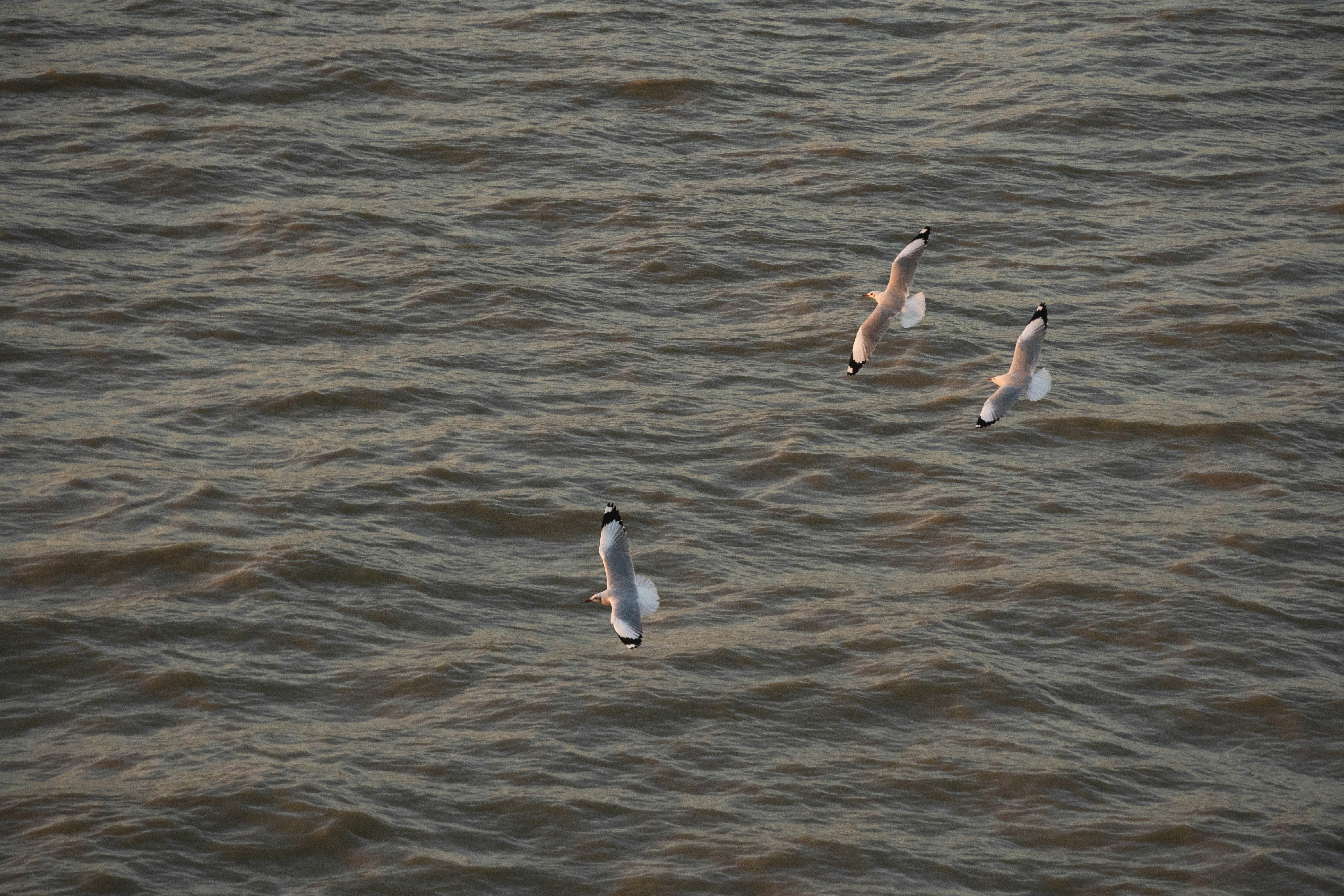 Photo by mrthetkhine