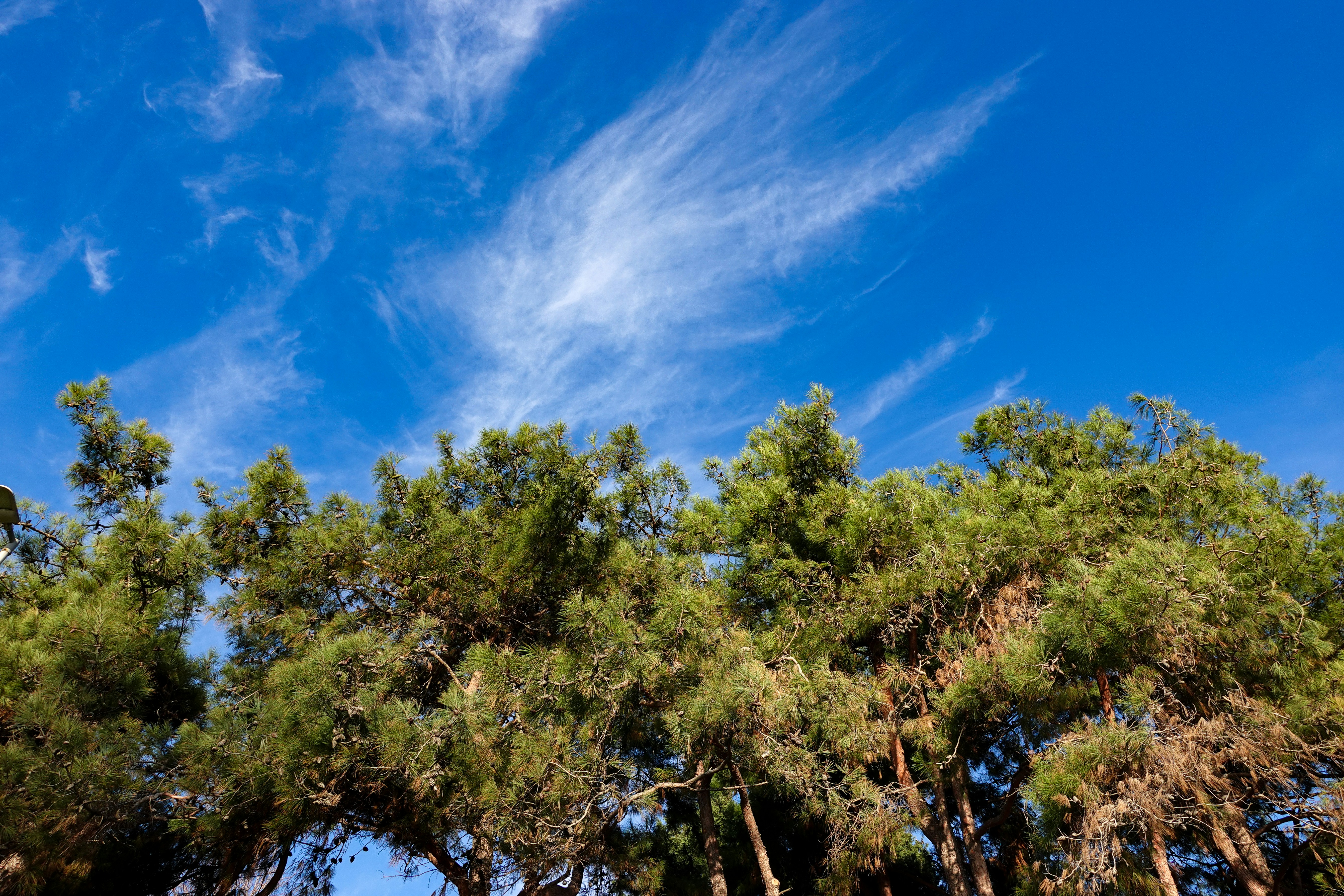 Photo by irfansimsar