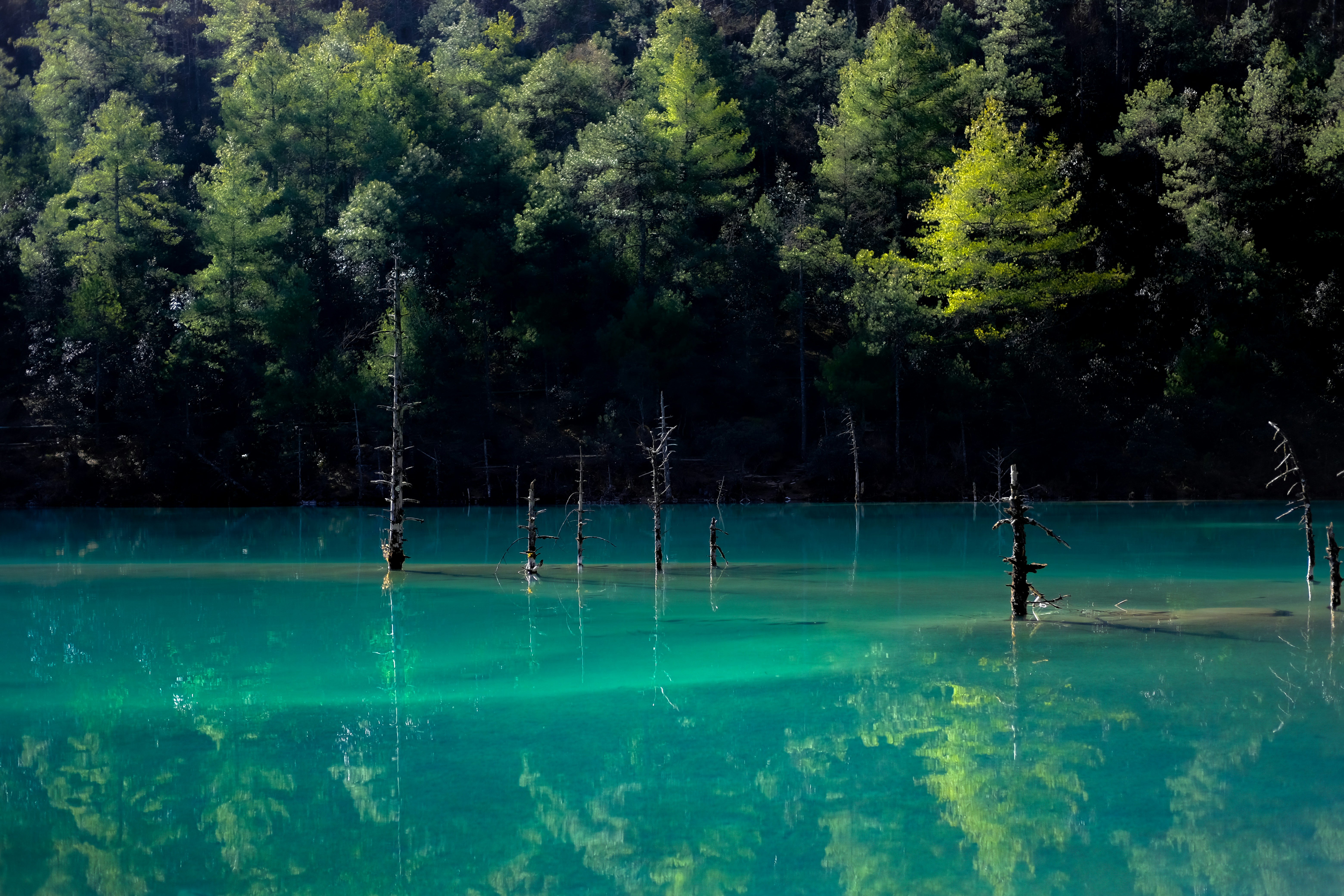 a body of water with trees in the background