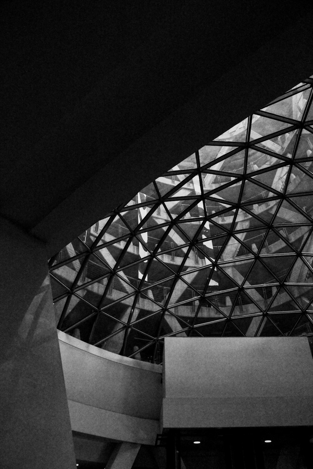 a black and white photo of a glass roof