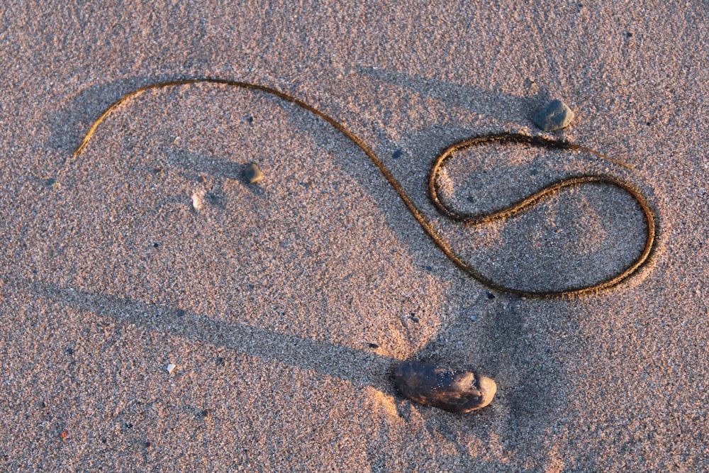 Eine Schlange ist mit einem langen Schwanz auf dem Sand