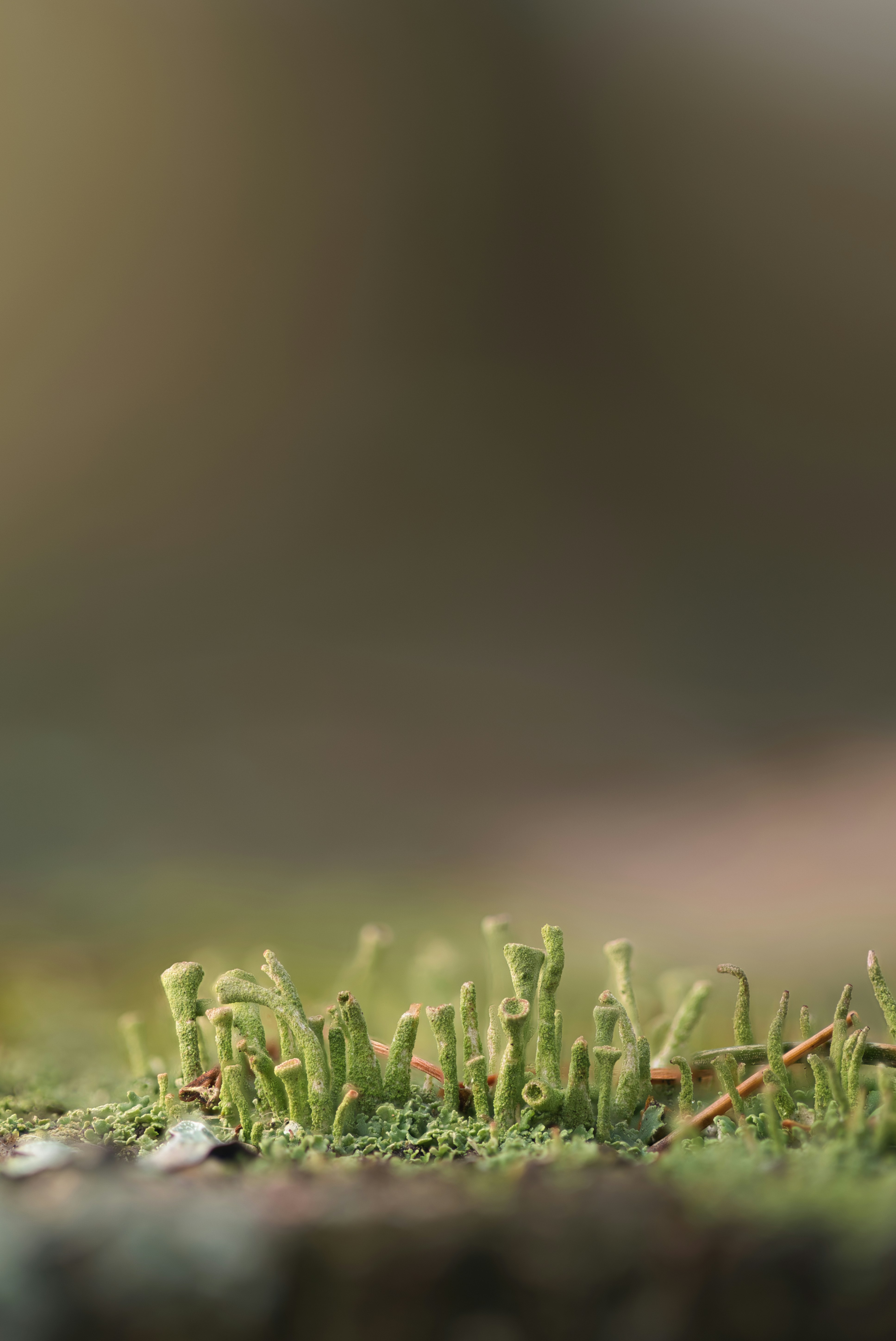 Photo by stepanvrany